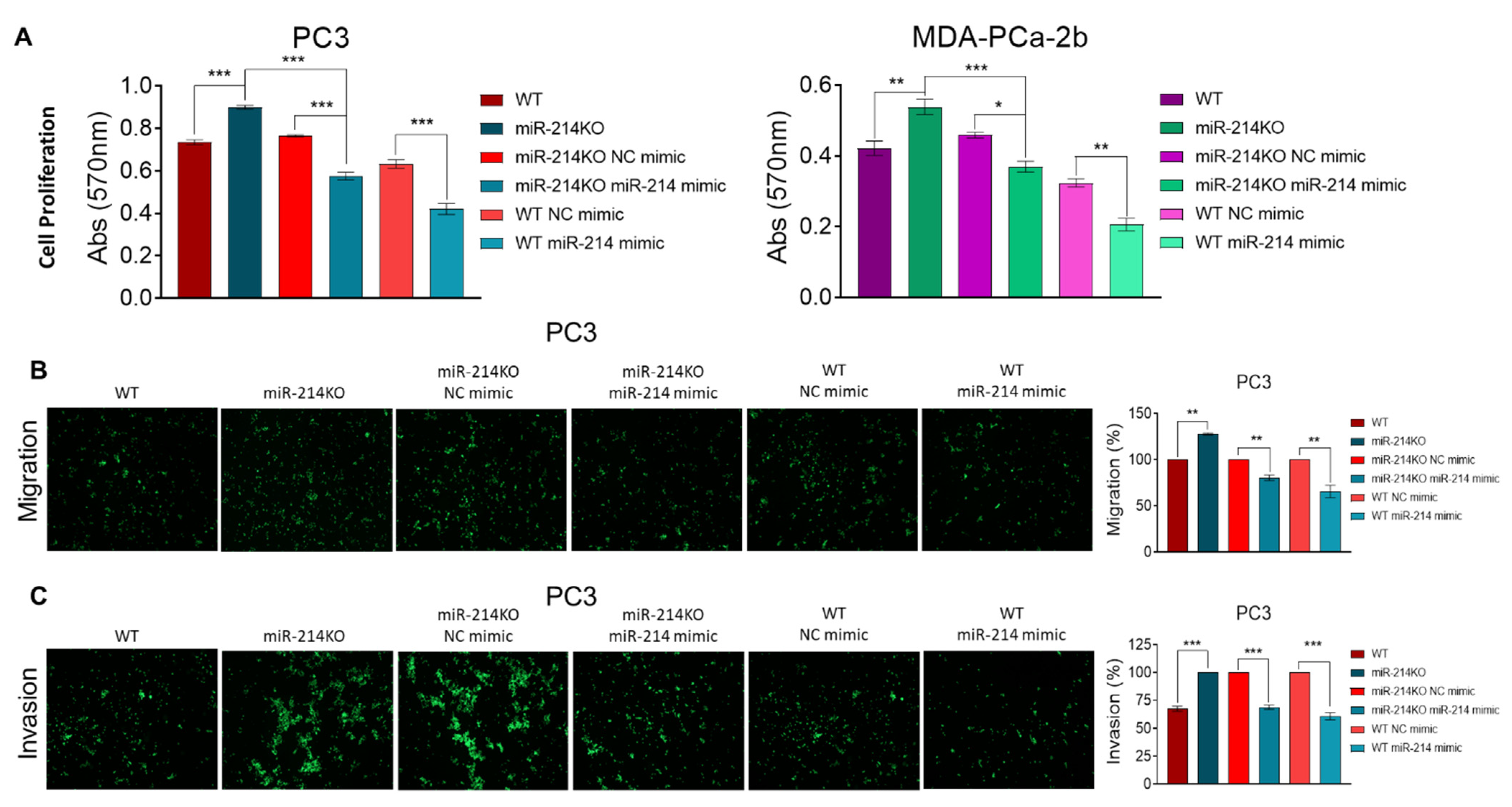 Cancers 13 05875 g003 Cancers 13 05875 g003