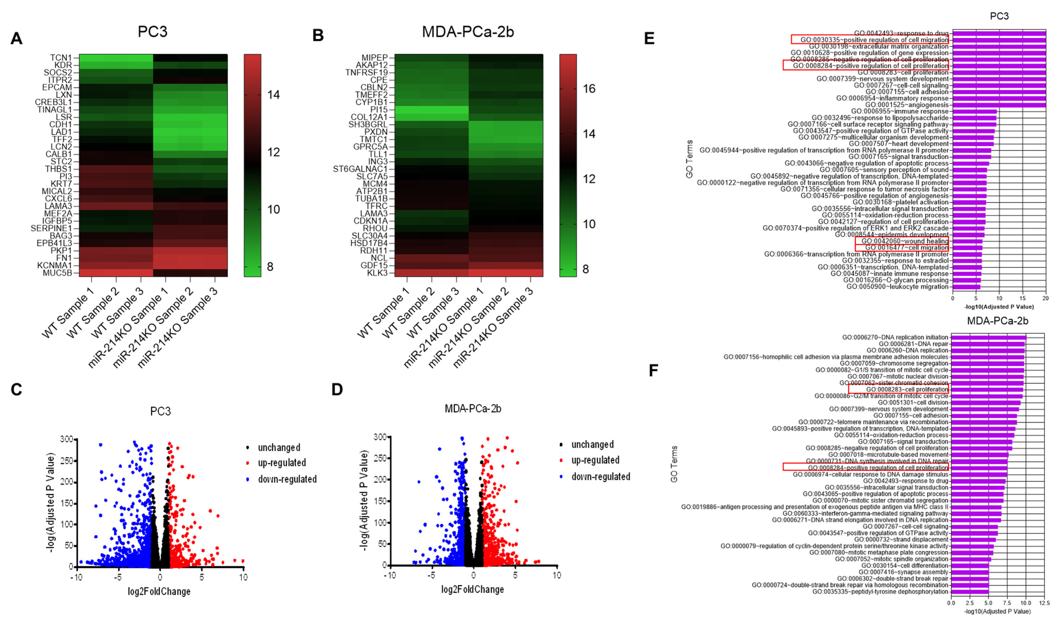 Cancers 13 05875 g004 Cancers 13 05875 g004