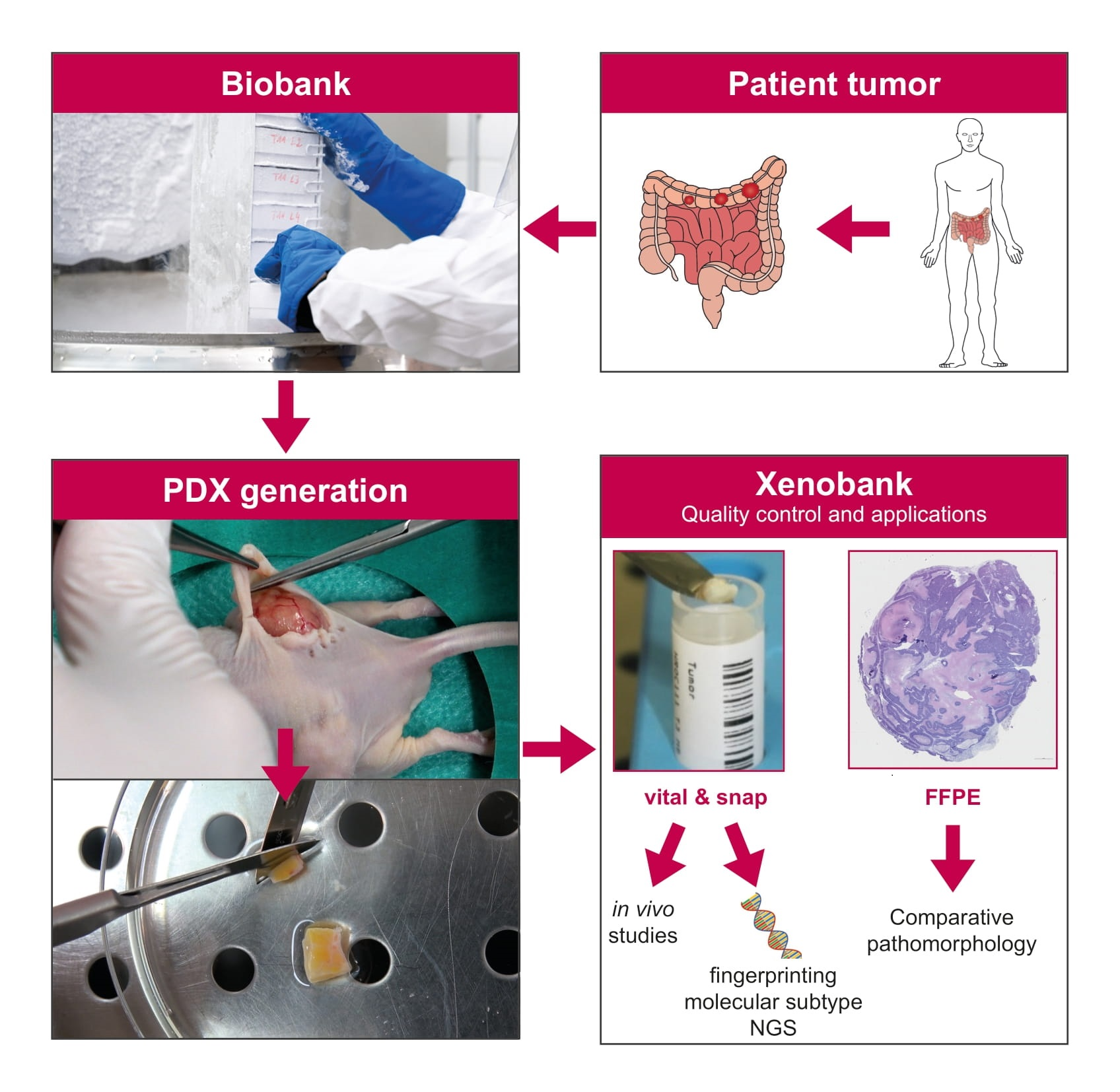 Kgucakexjiji3m Kgucakexjiji3m