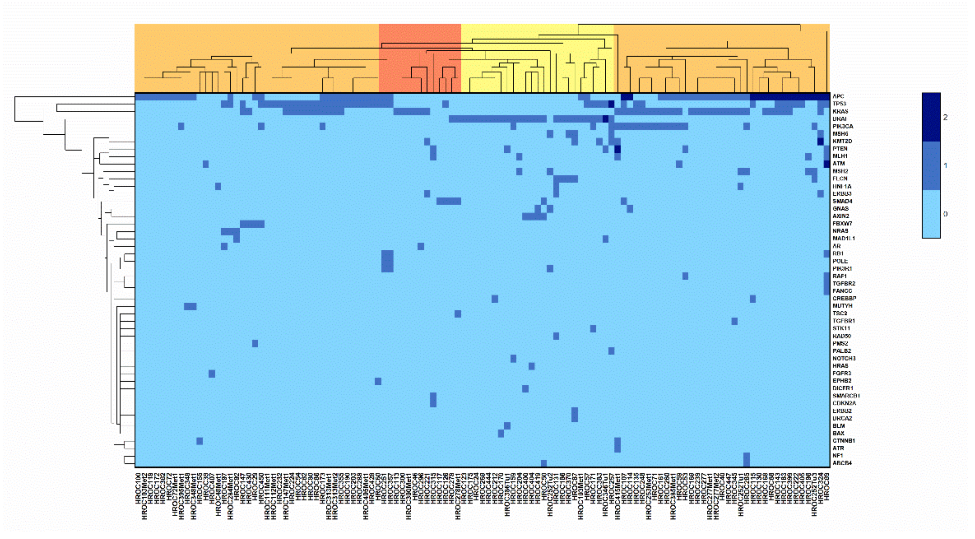 Cancers 13 05882 g002 550