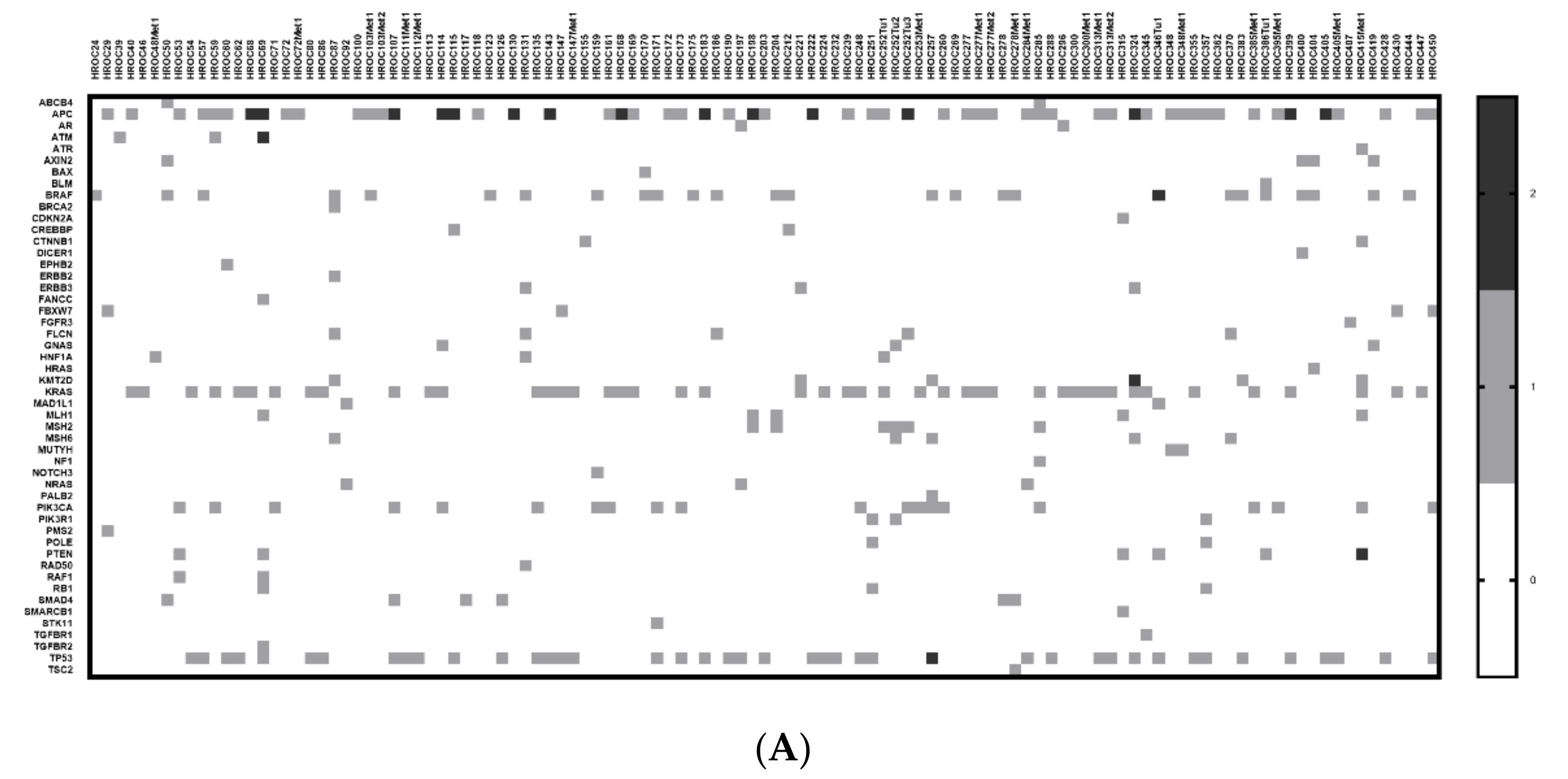 Cancers 13 05882 g003a 550