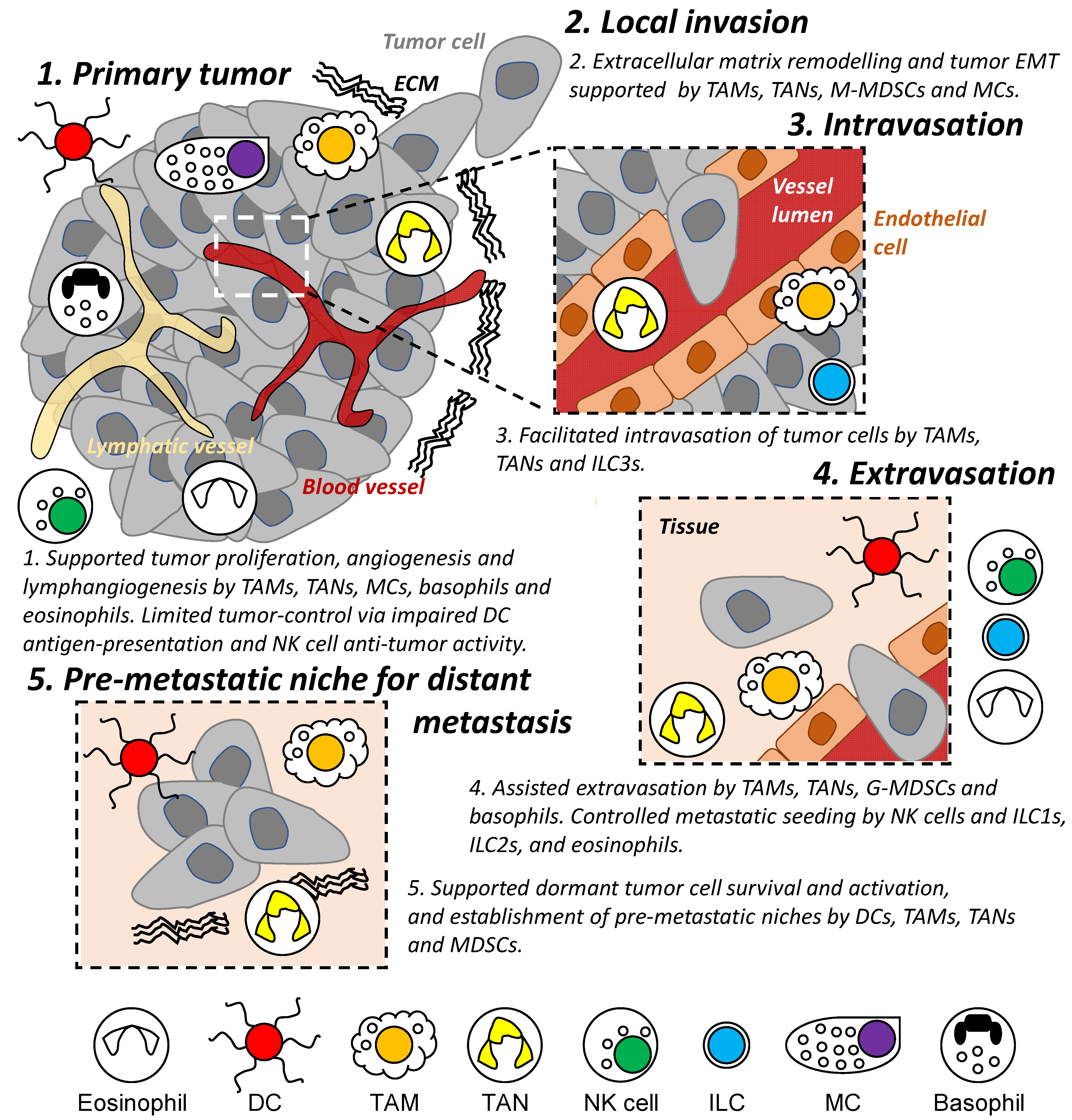 Cancers 13 05885 g002 550