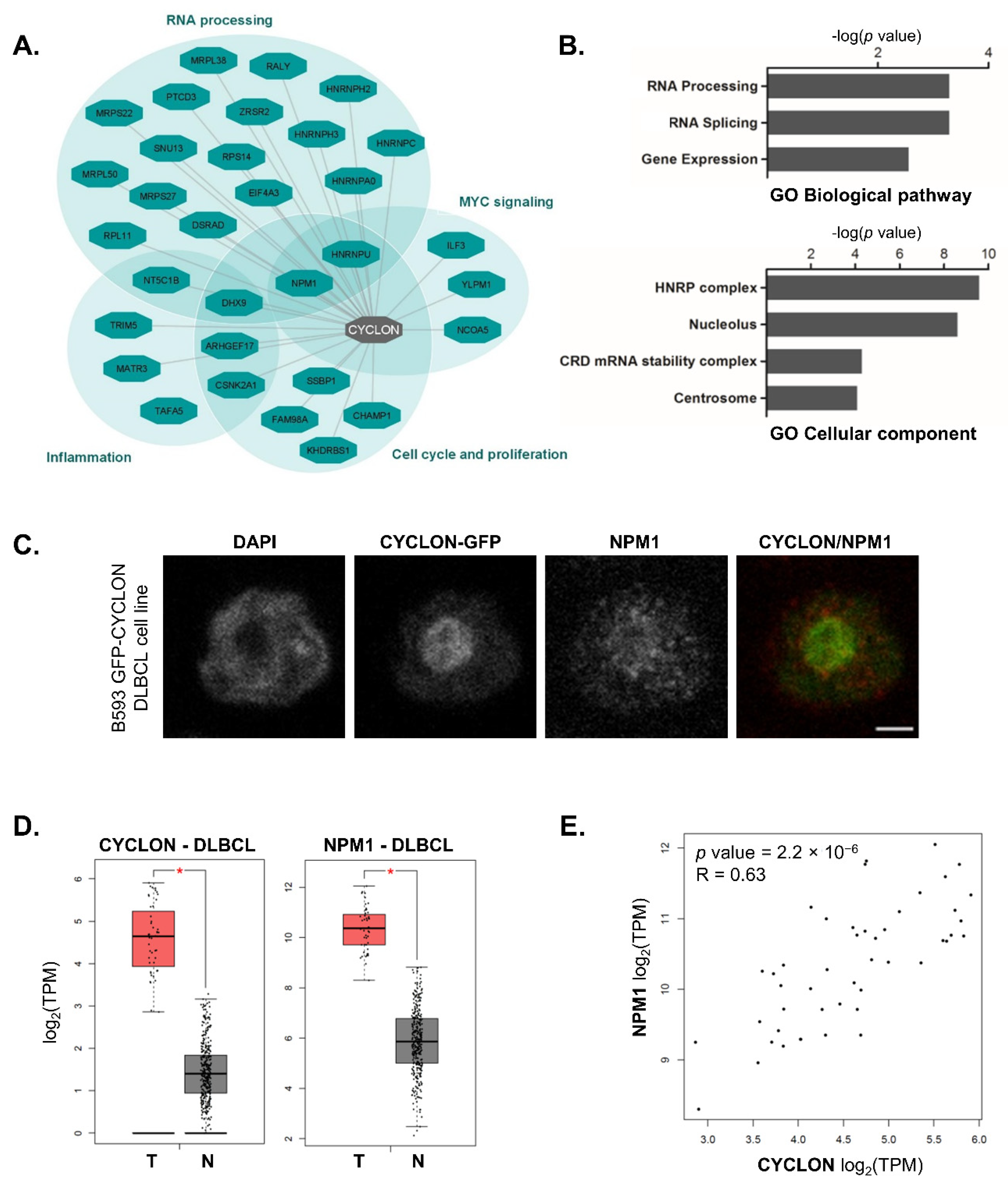 Cancers 13 05900 g001 Cancers 13 05900 g001