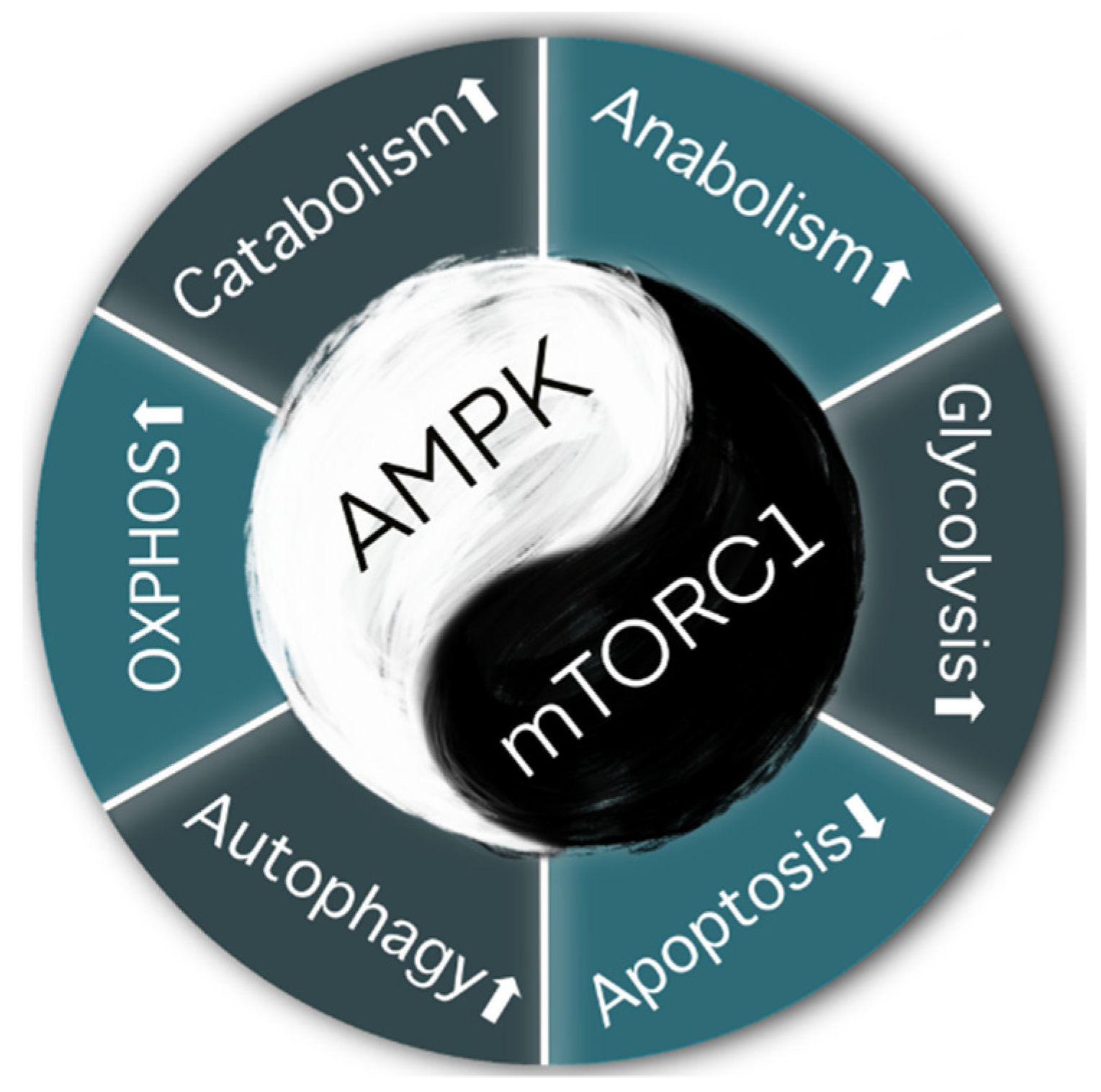 Cancers 13 05905 g003