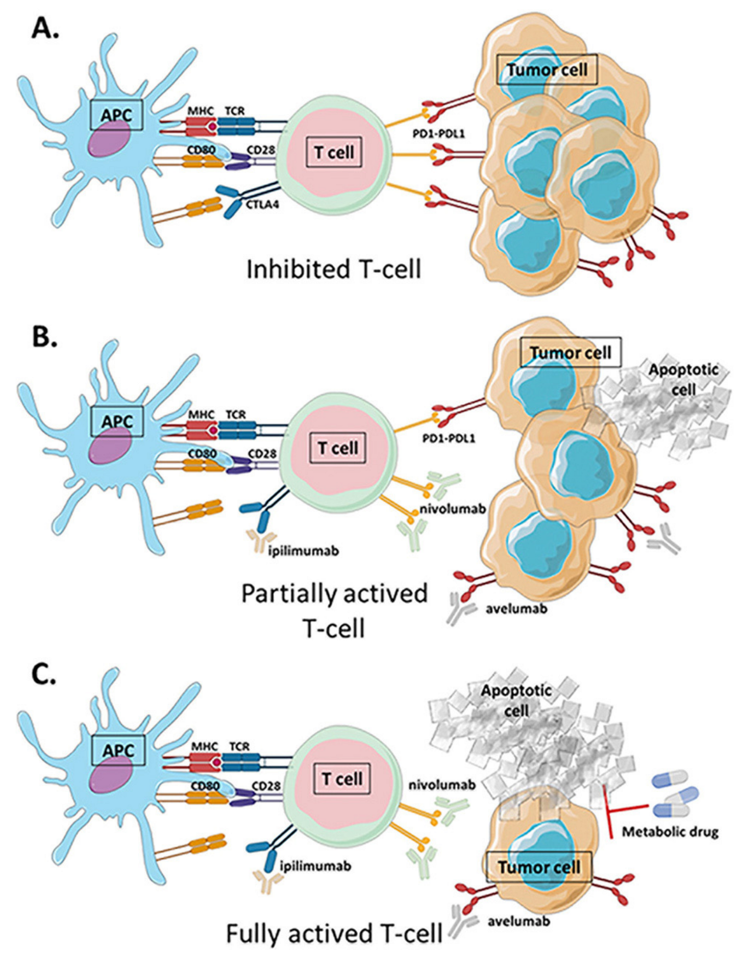 Cancers 13 05912 g005 550