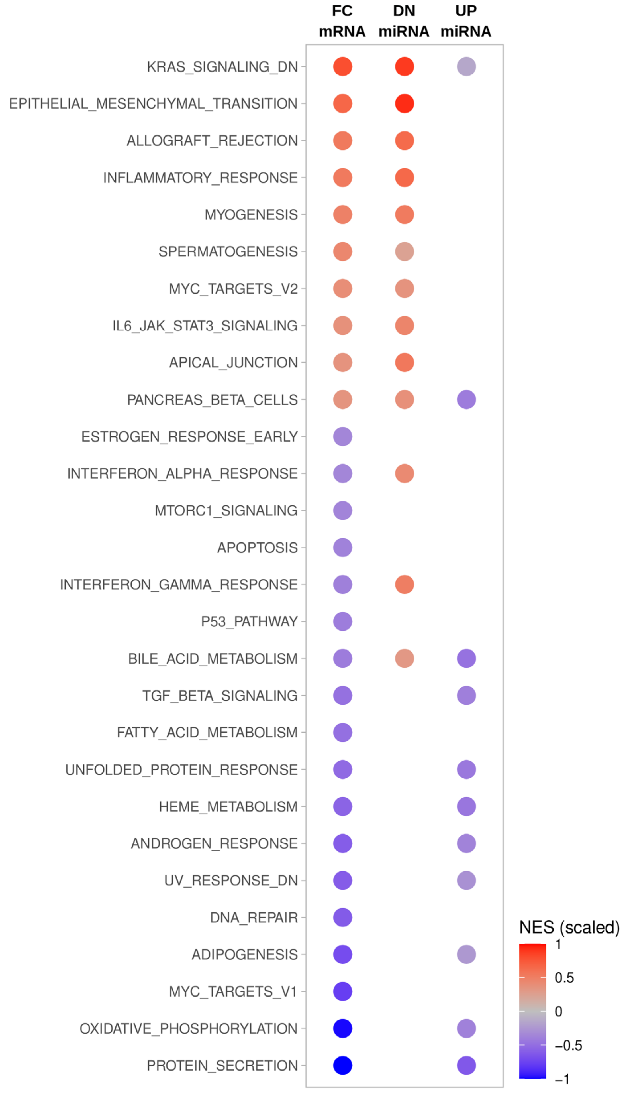 Cancers 13 05913 g003