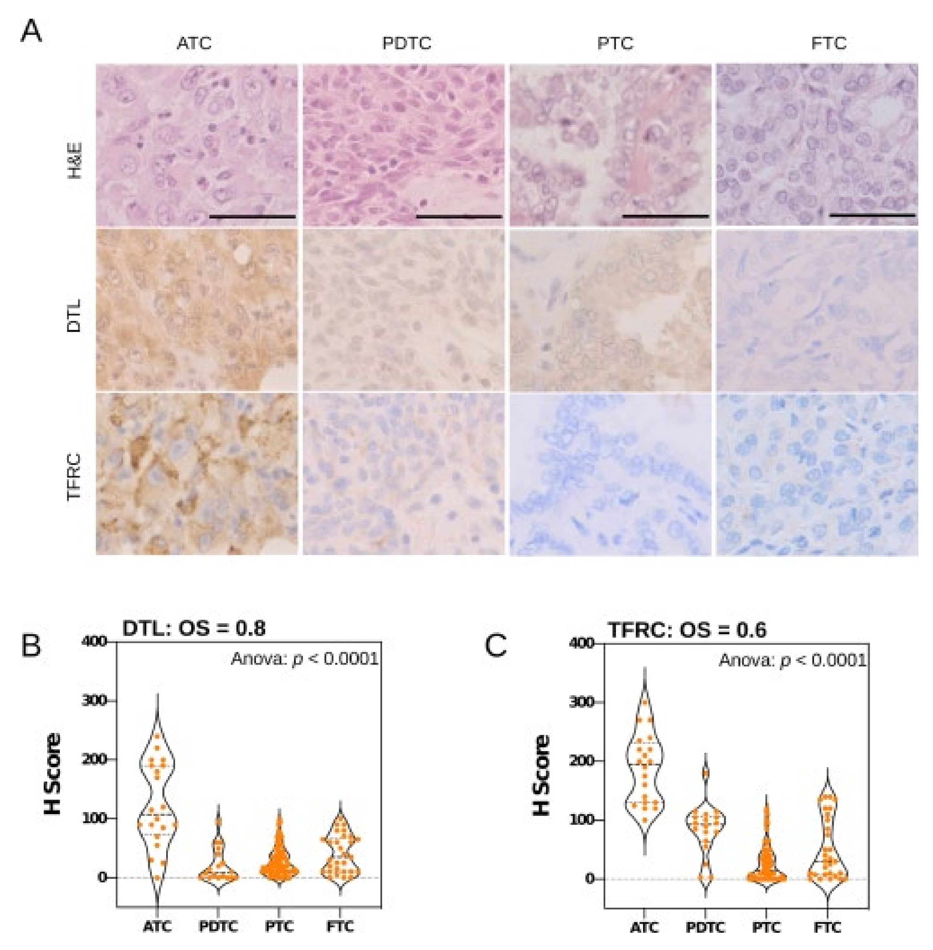 Cancers 13 05913 g005