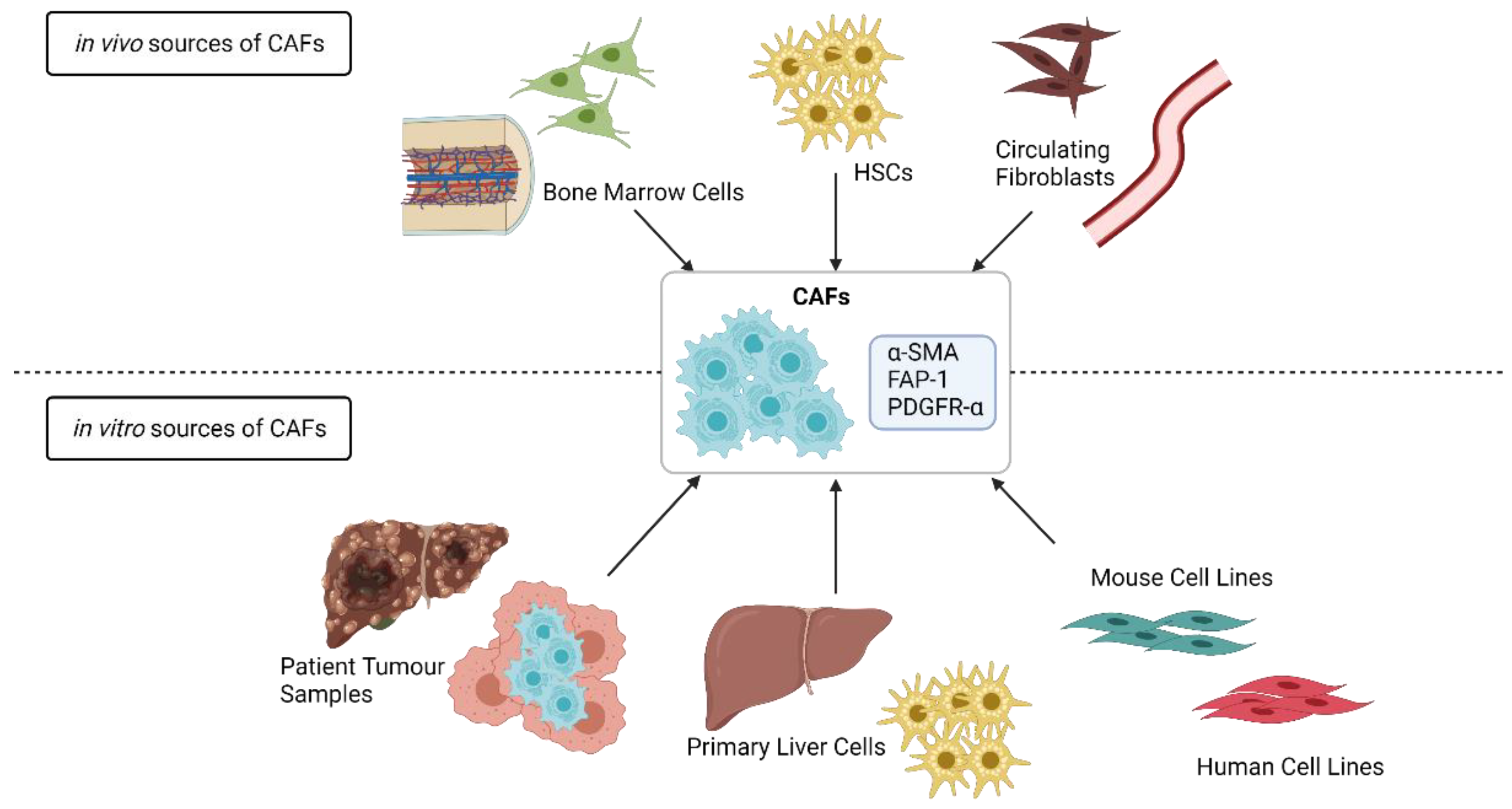 Cancers 13 05914 g001