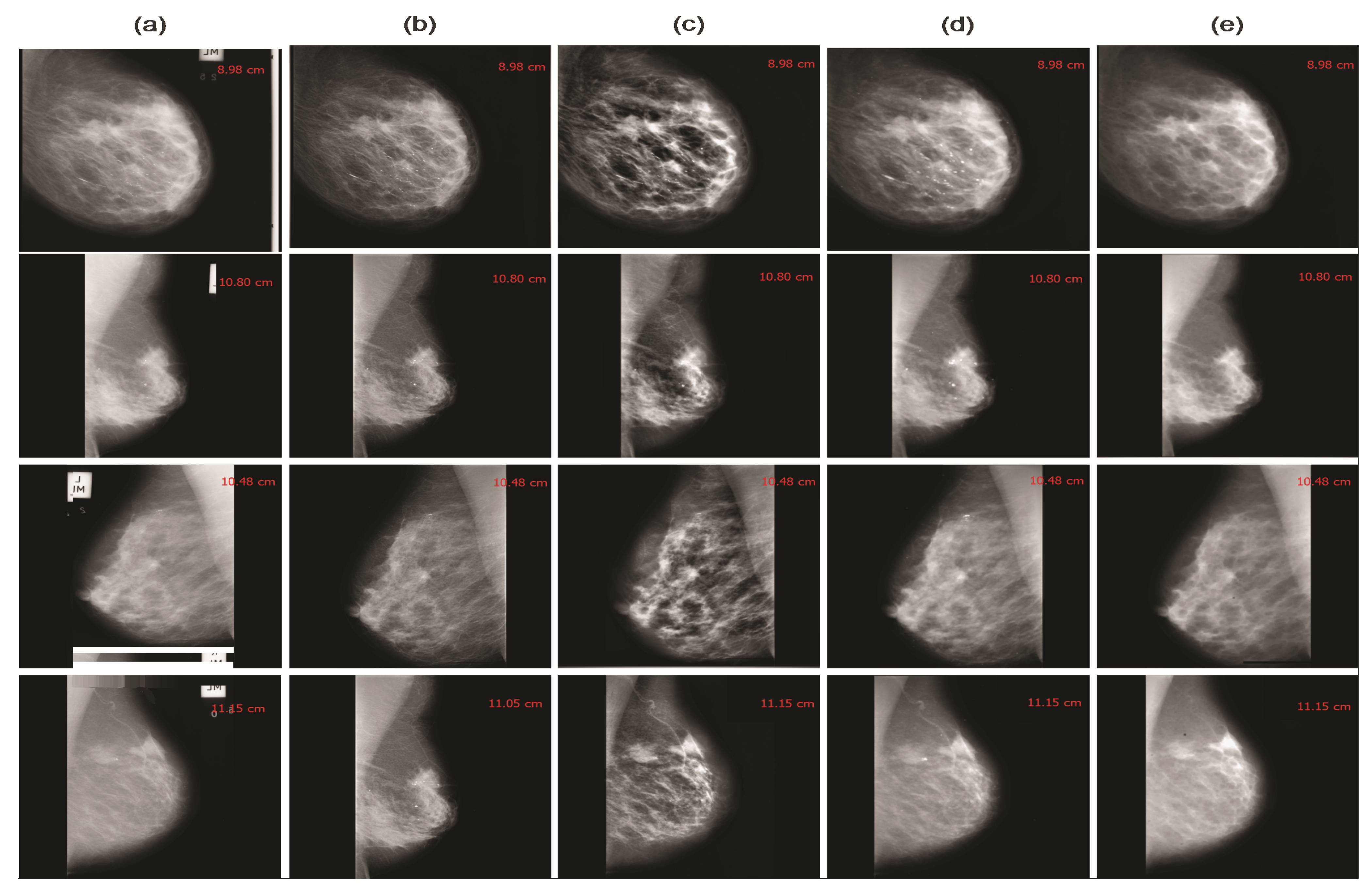 Cancers 13 05916 g002