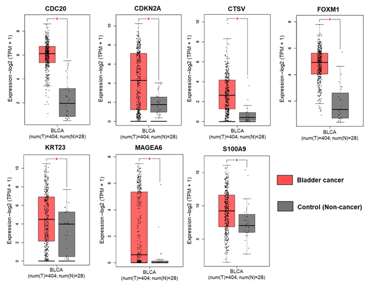 Cancers 13 05931 g005 Cancers 13 05931 g005