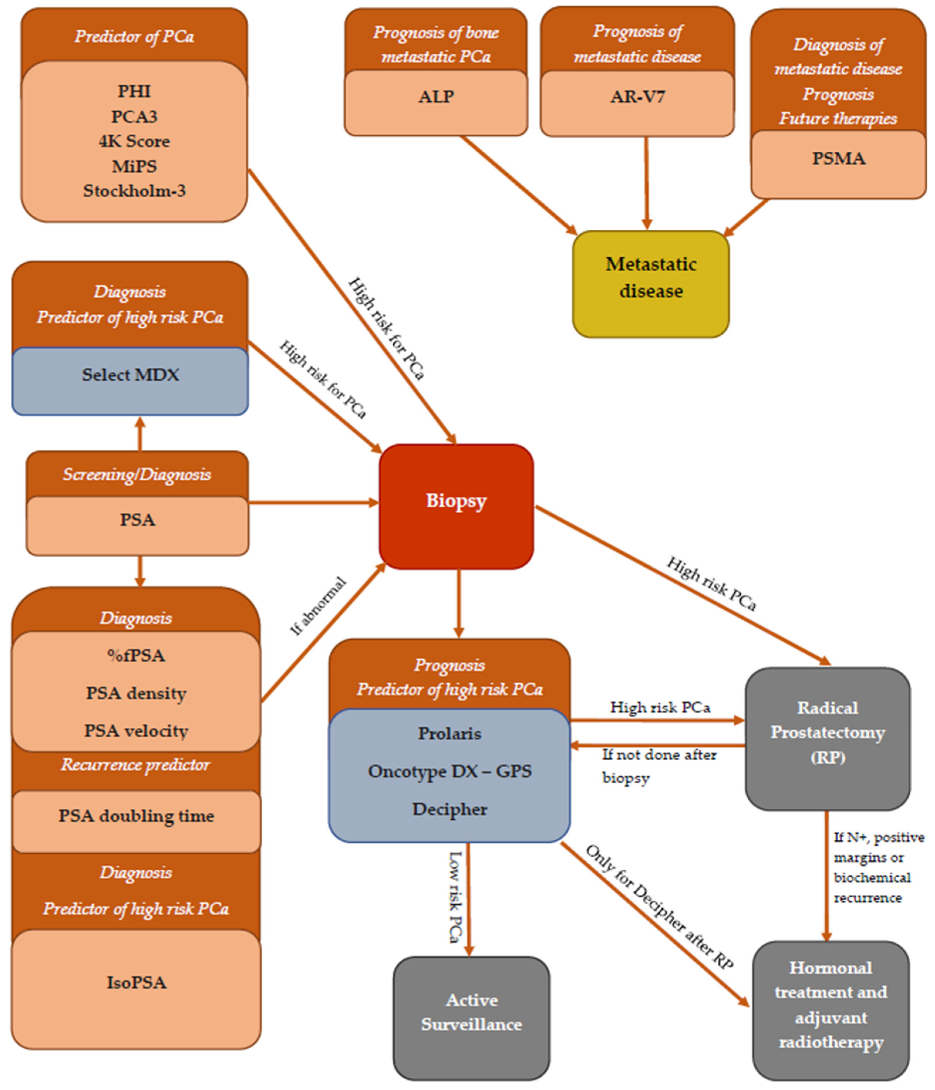 Cancers 13 05932 g002 550