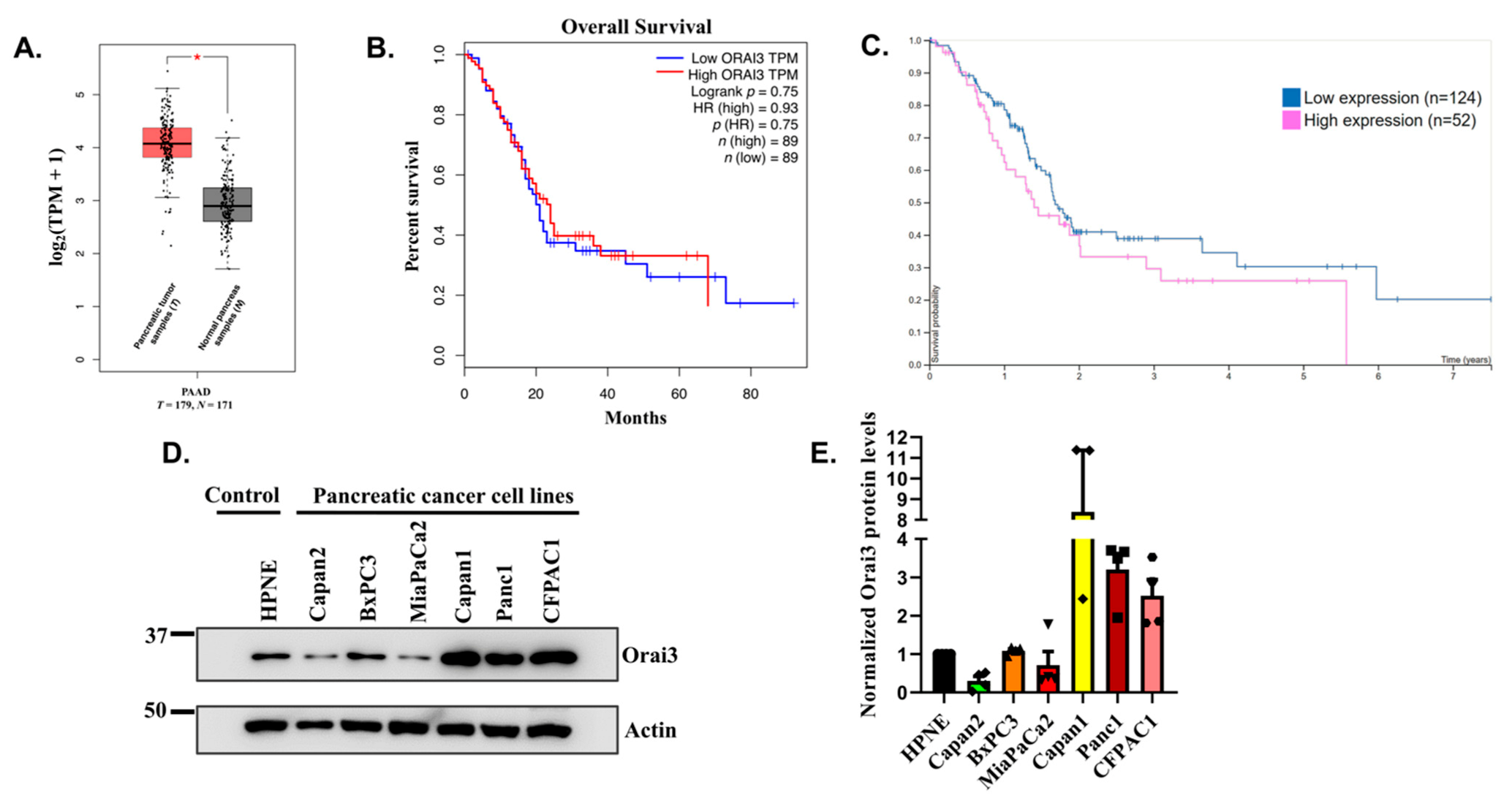 Cancers 13 05937 g001 550