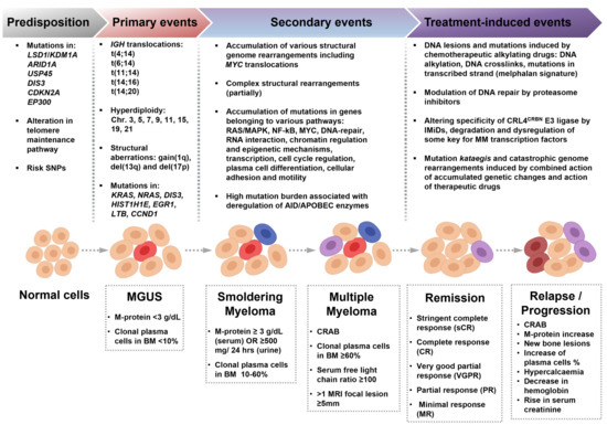 gyde Skyldfølelse benzin Cancers | Free Full-Text | Genome Instability in Multiple Myeloma: Facts  and Factors | HTML