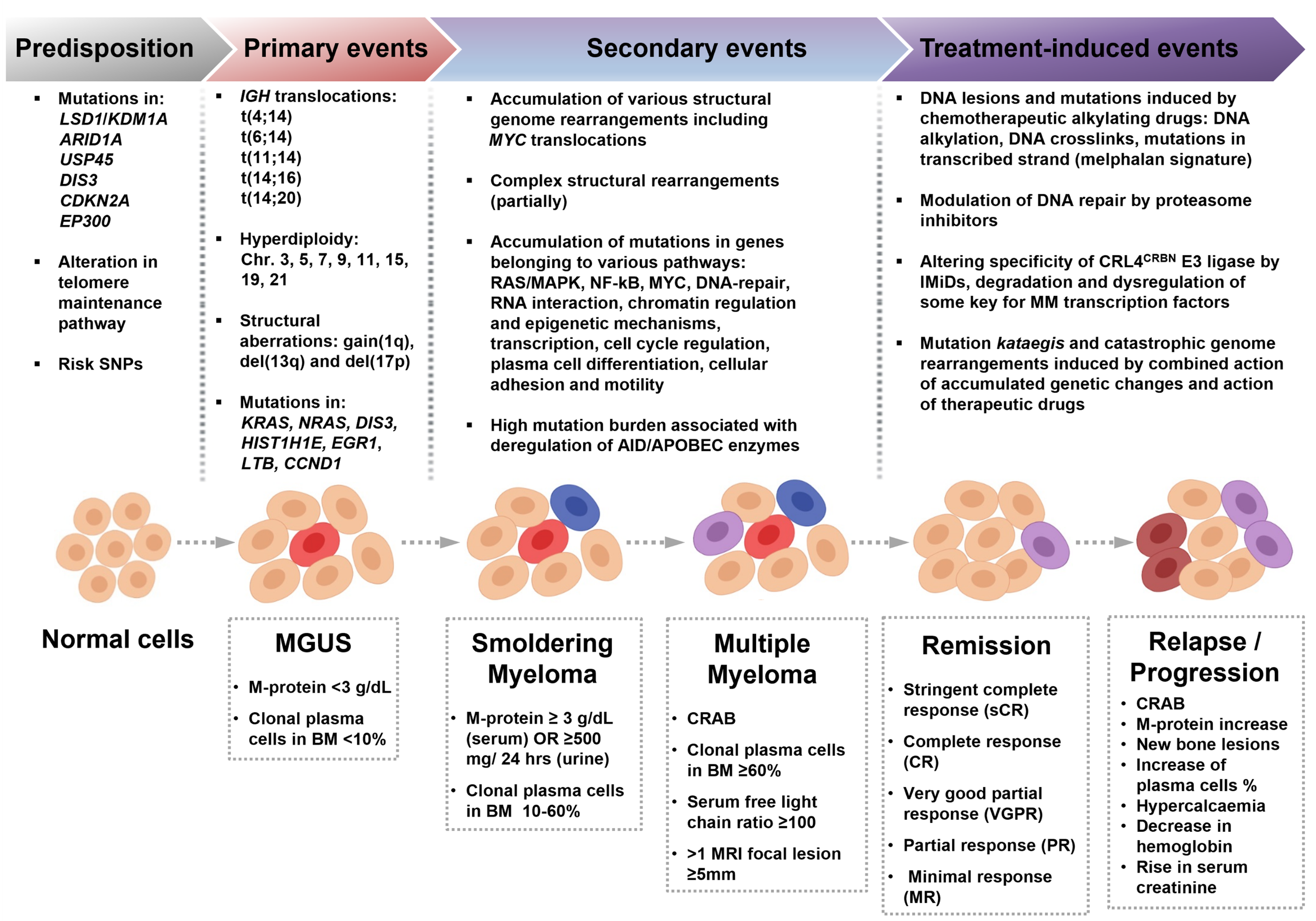 Pan-cancer atlas of somatic core and linker histone mutations