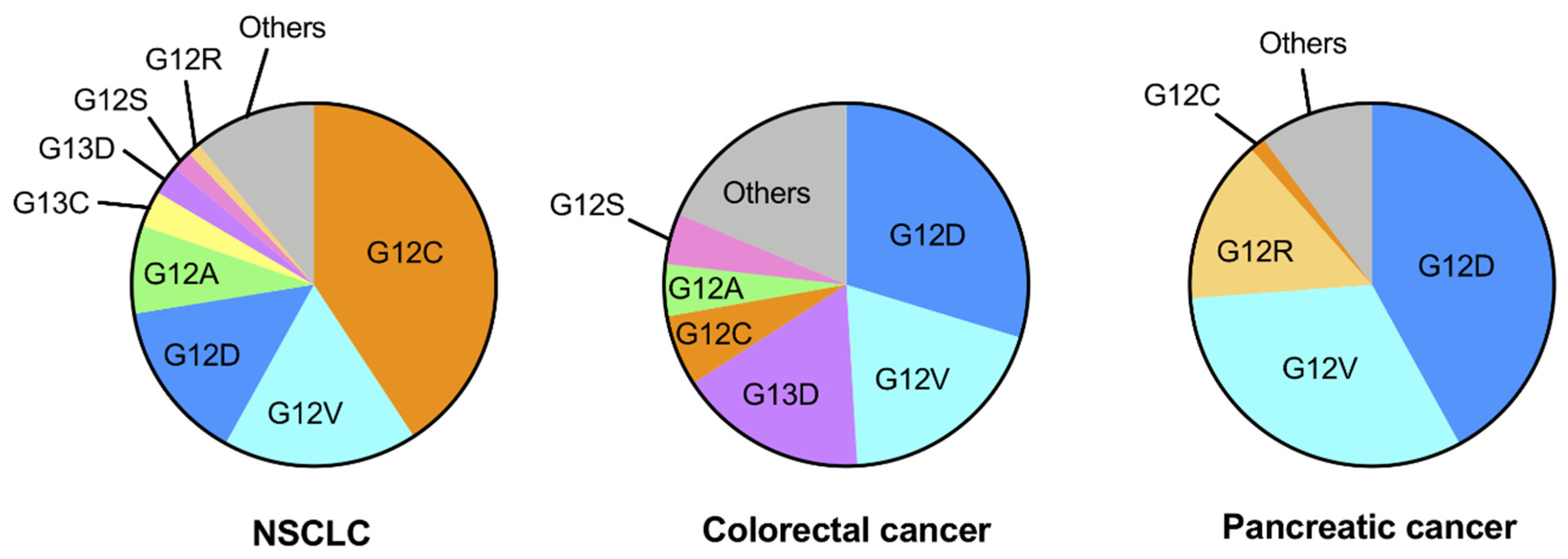 Targeting Oncogenic KRAS in Non-Small-Cell Lung Cancer