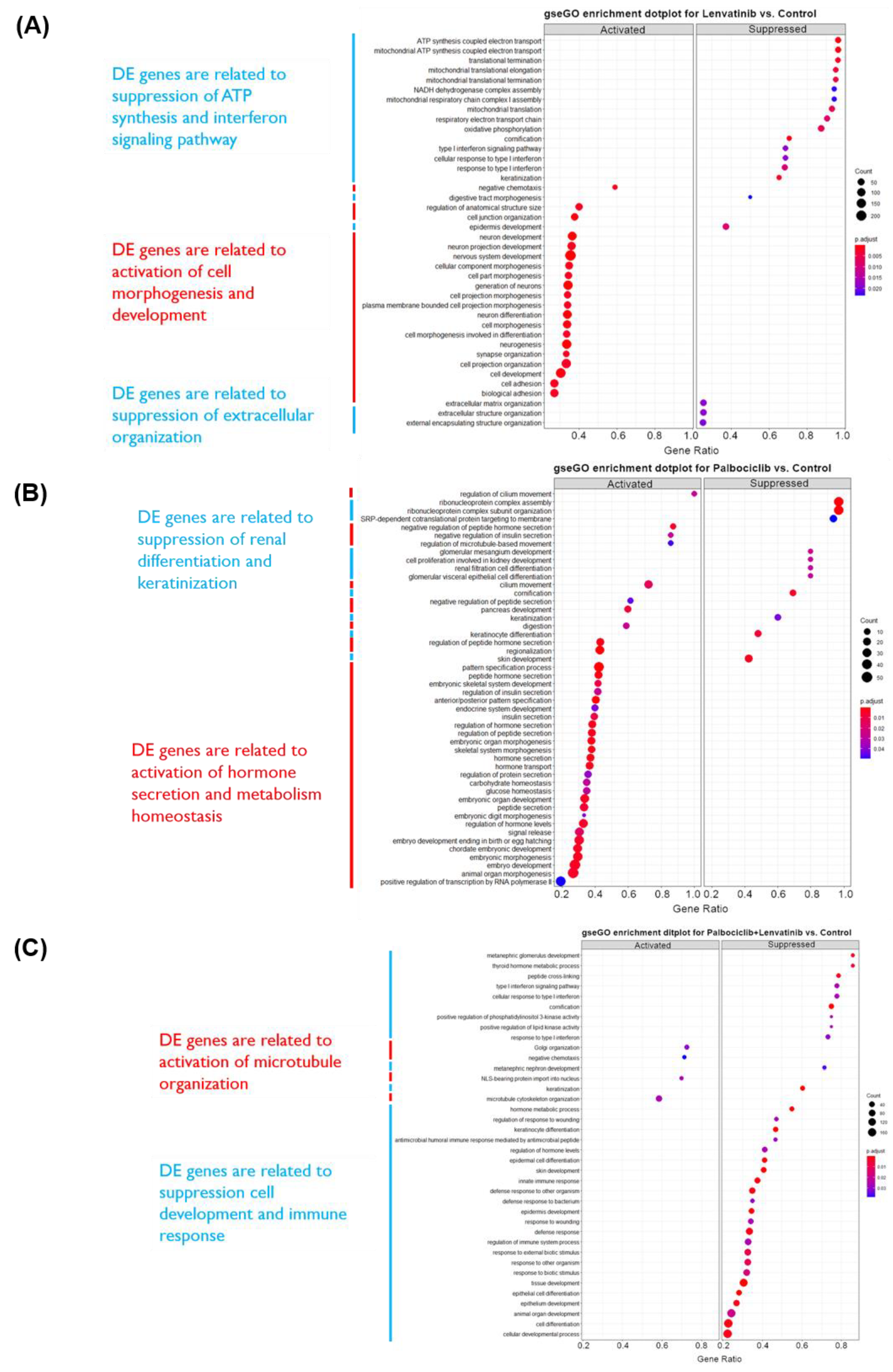 Cancers 13 05962 g004