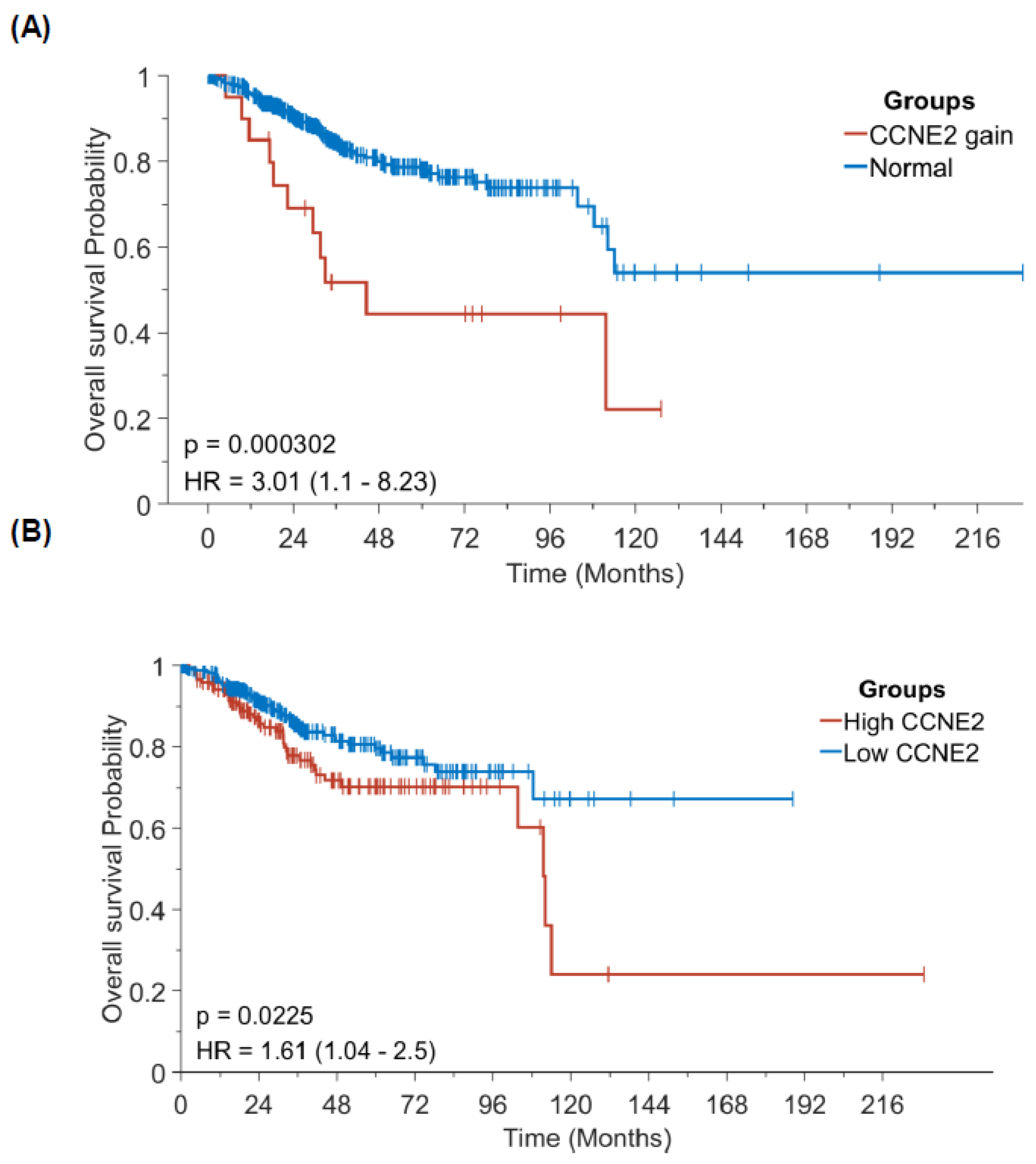 Cancers 13 05962 g006