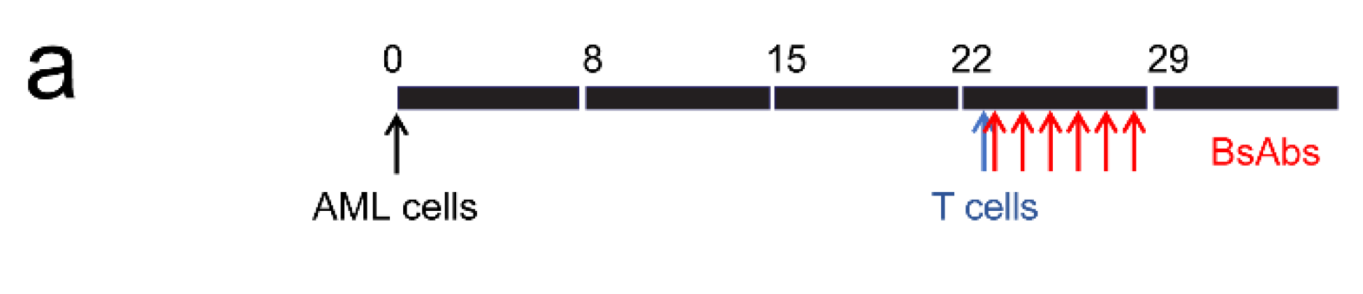 Cancers 13 05964 g003a