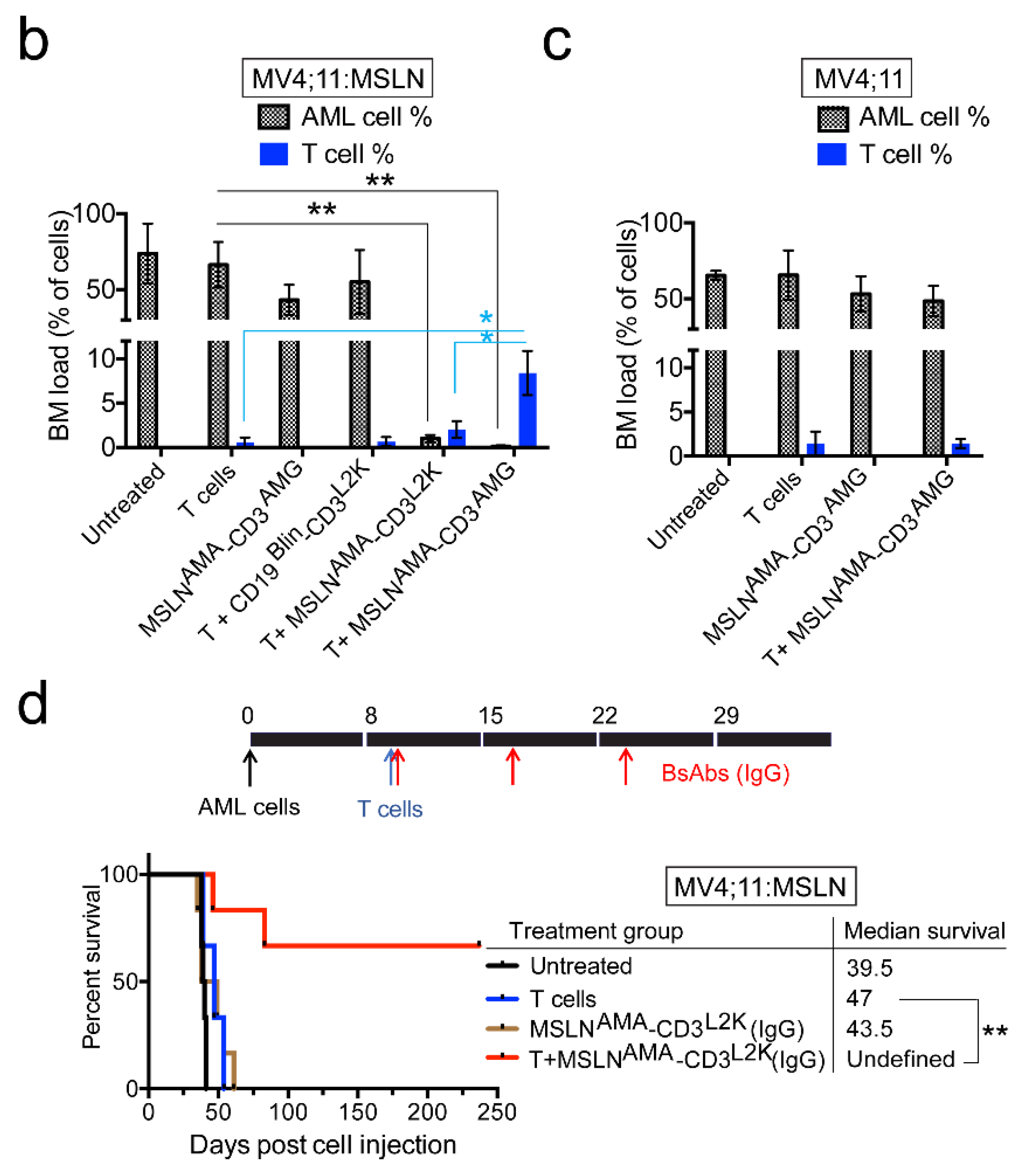 Cancers 13 05964 g003b