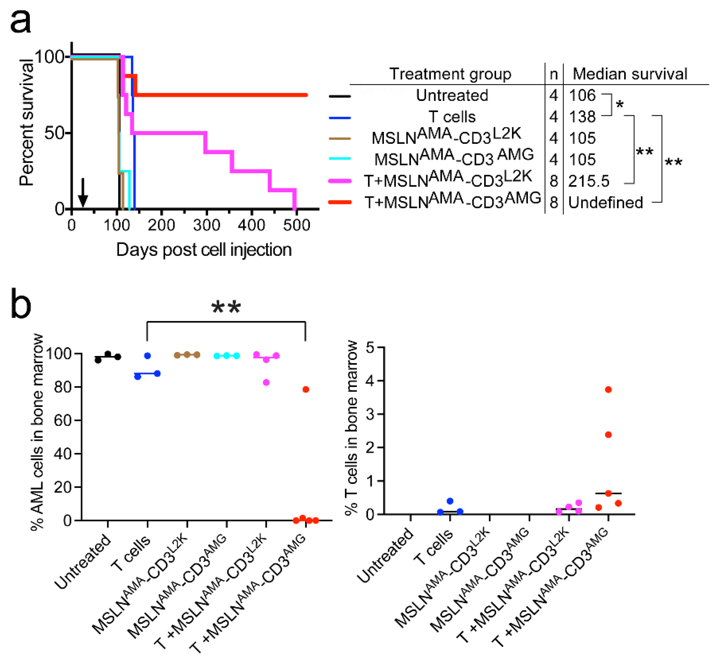 Cancers 13 05964 g004