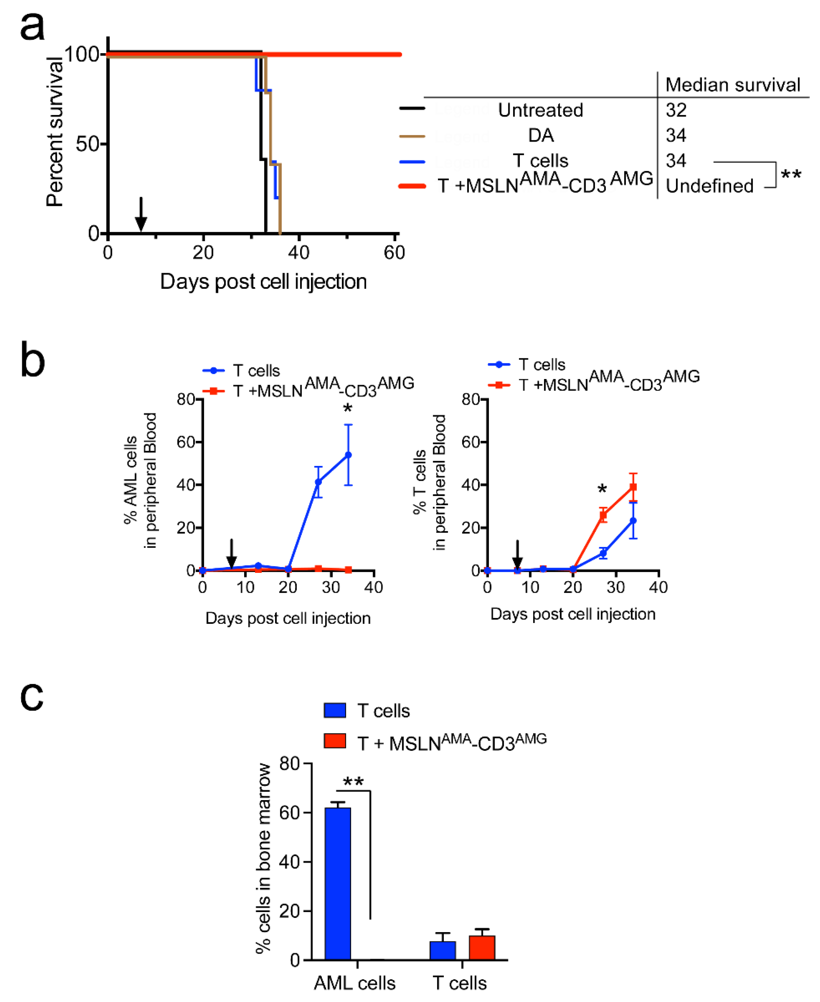 Cancers 13 05964 g005
