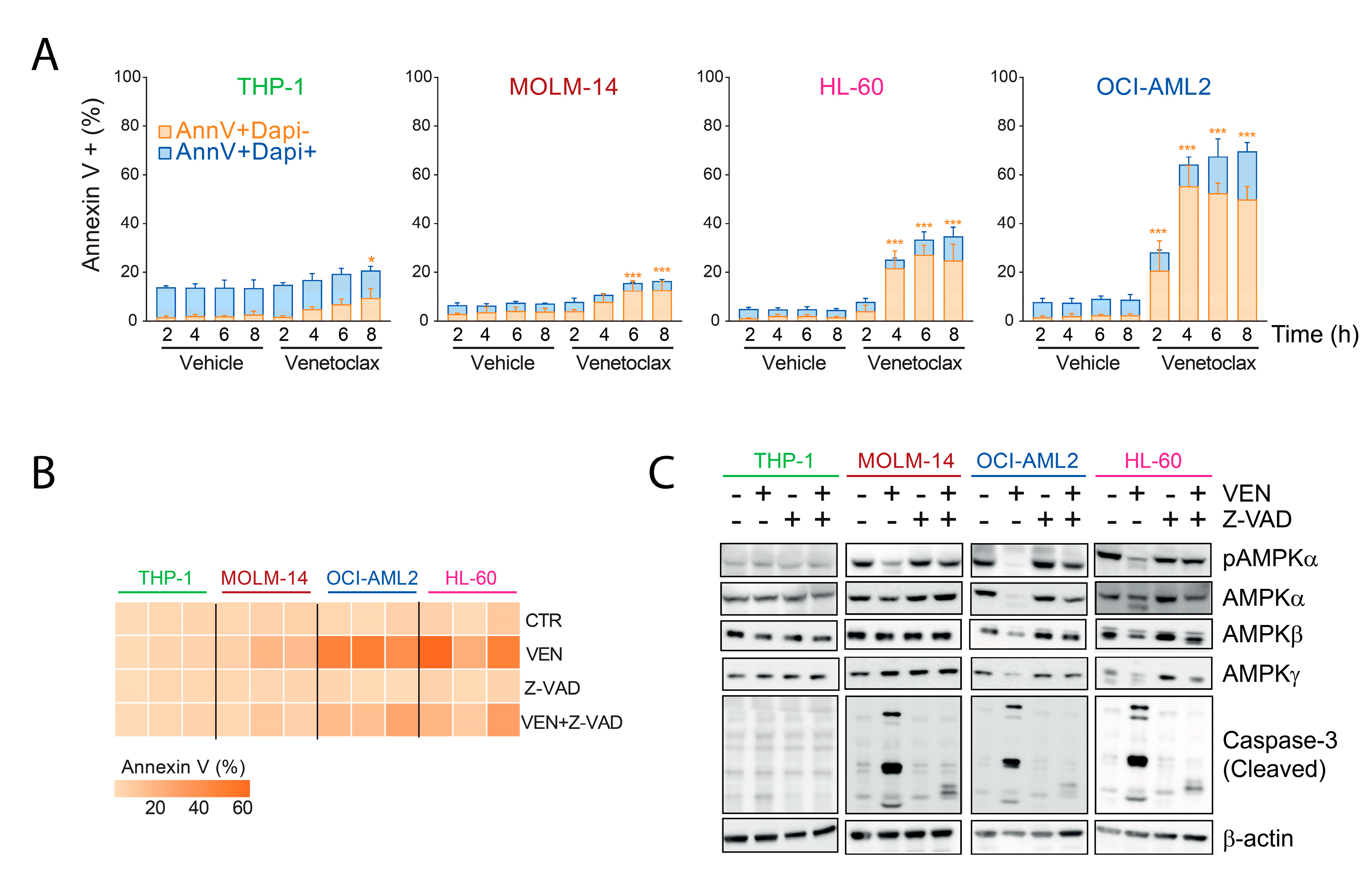 Cancers 13 05966 g003