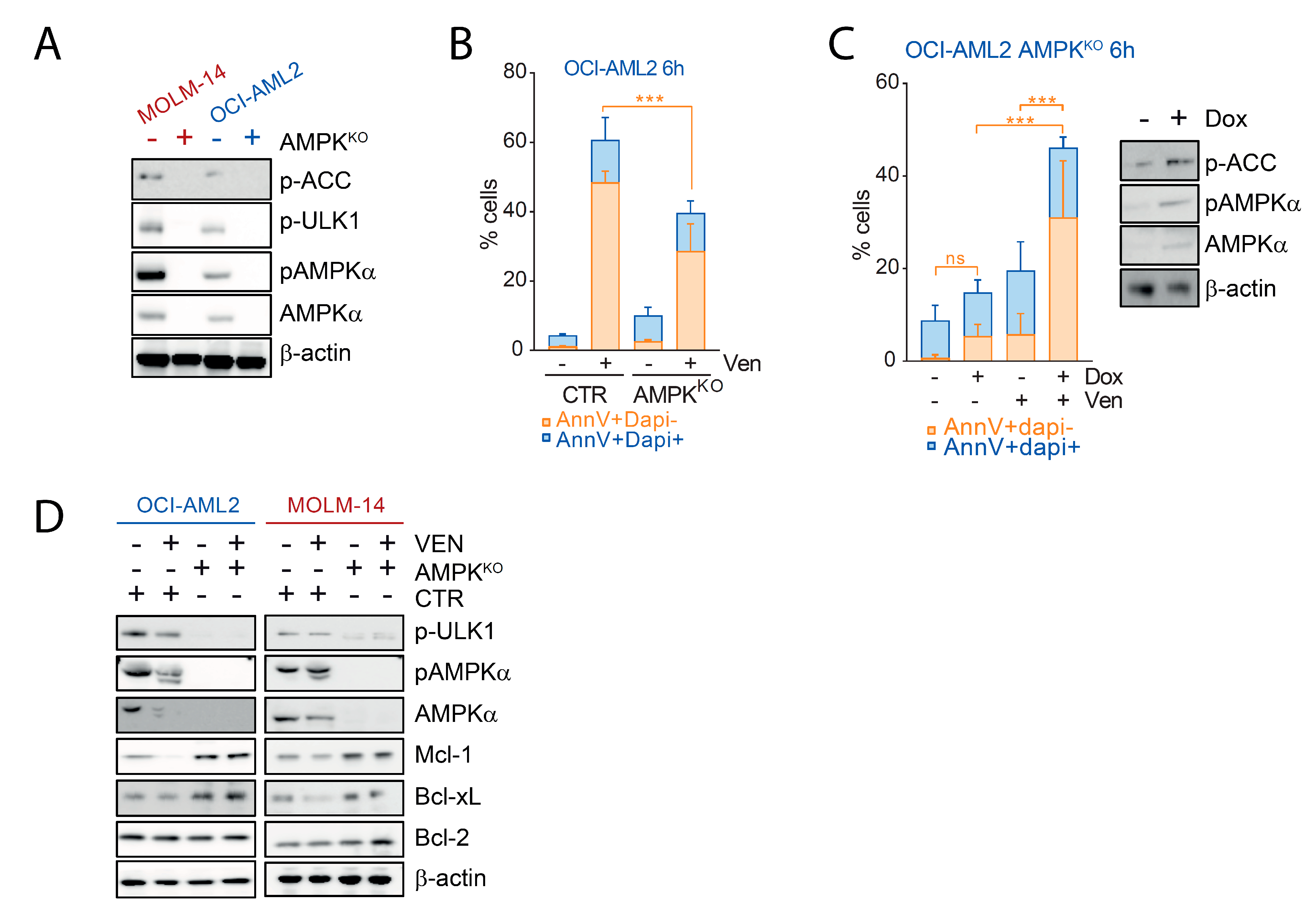Cancers 13 05966 g004