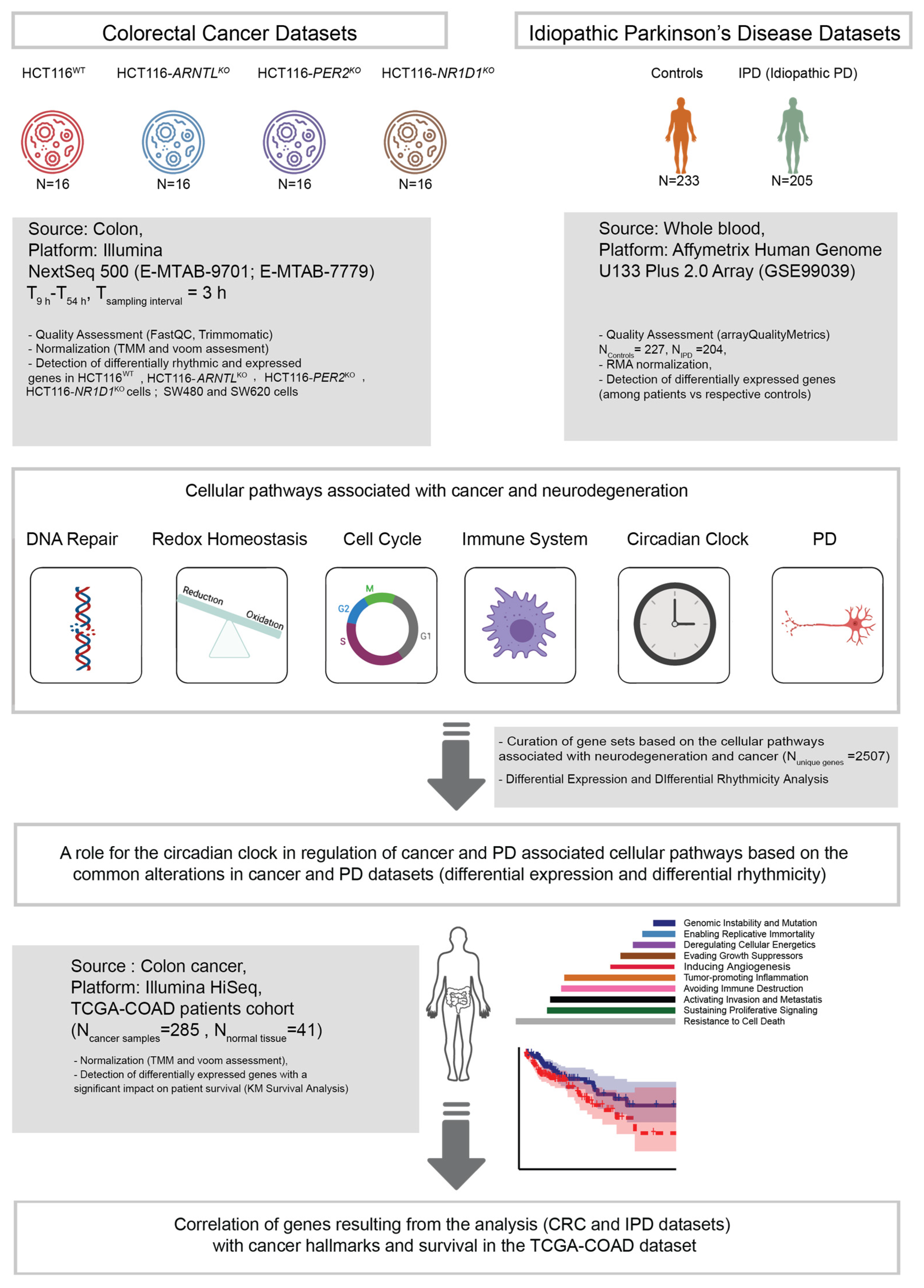 Cancers 13 05978 g001