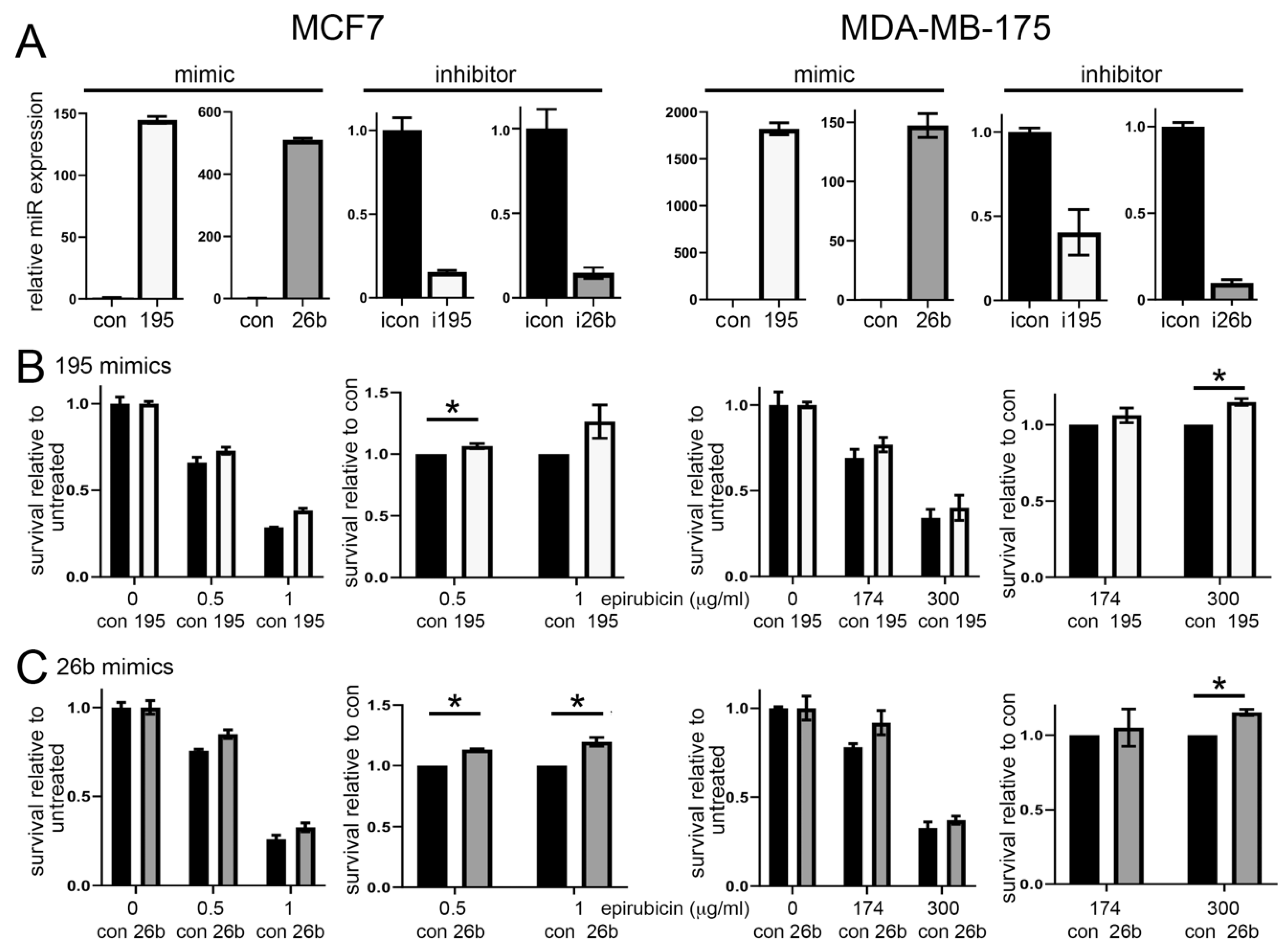 Cancers 13 05979 g001 550