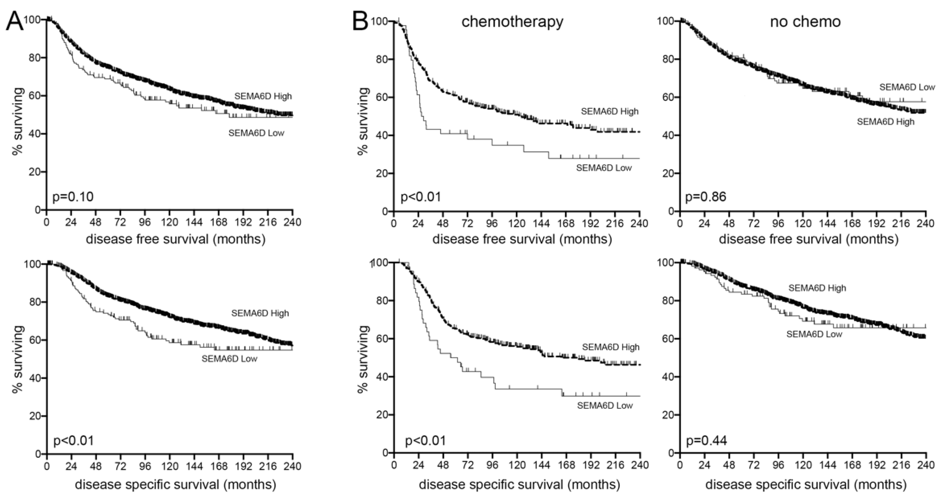Cancers 13 05979 g004 550