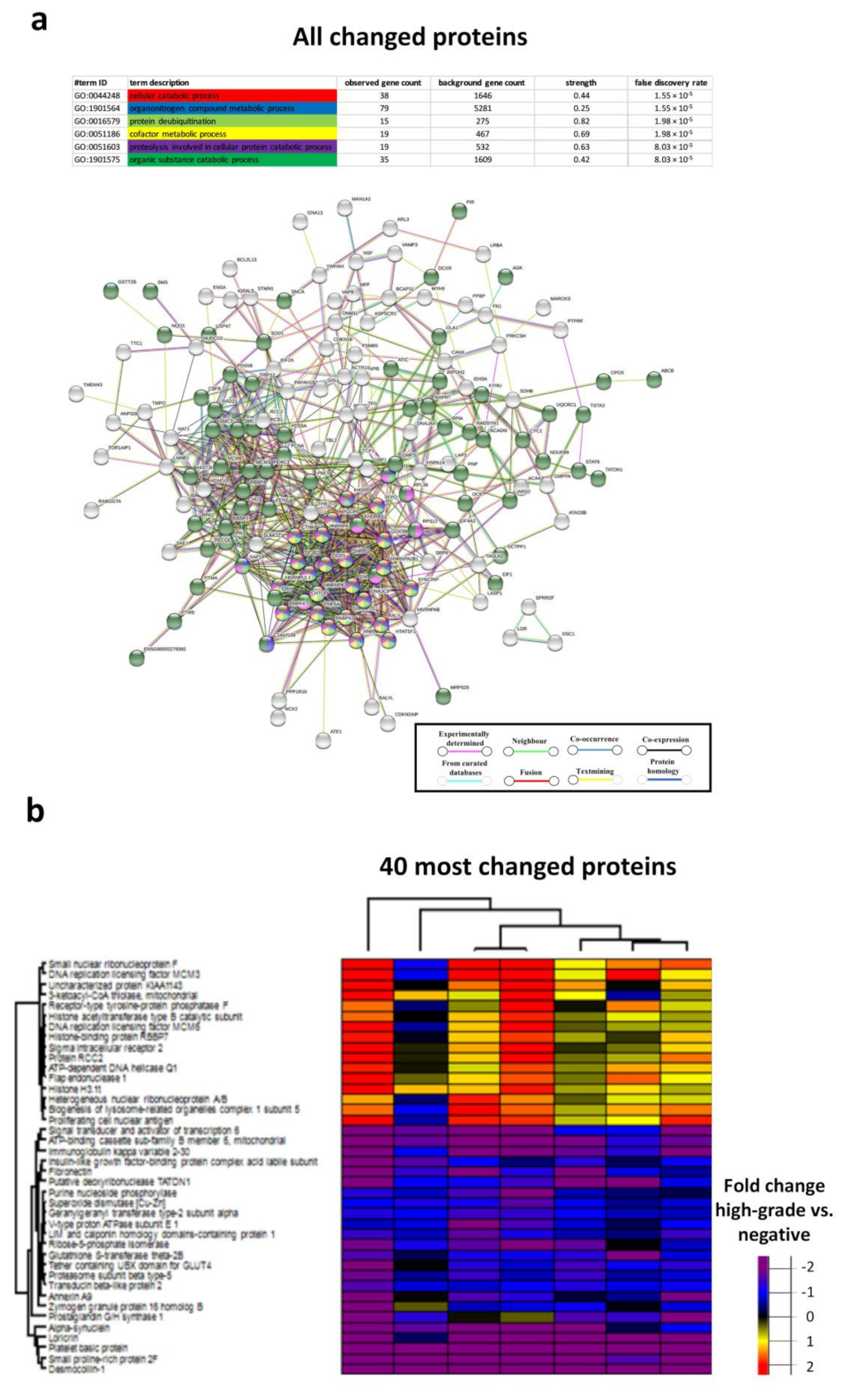 Cancers 13 05983 g007