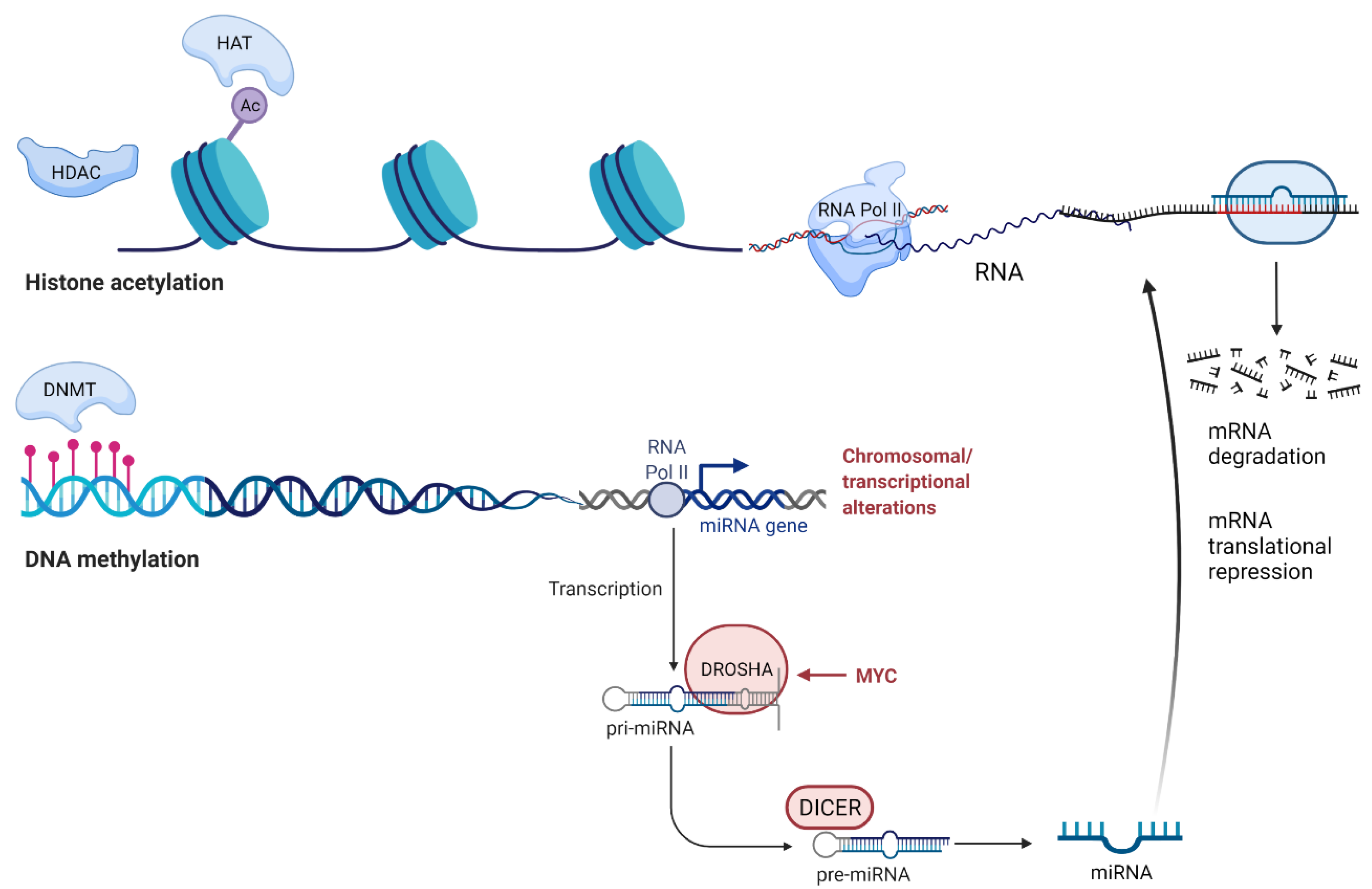 Cancers 13 05993 g001 Cancers 13 05993 g001
