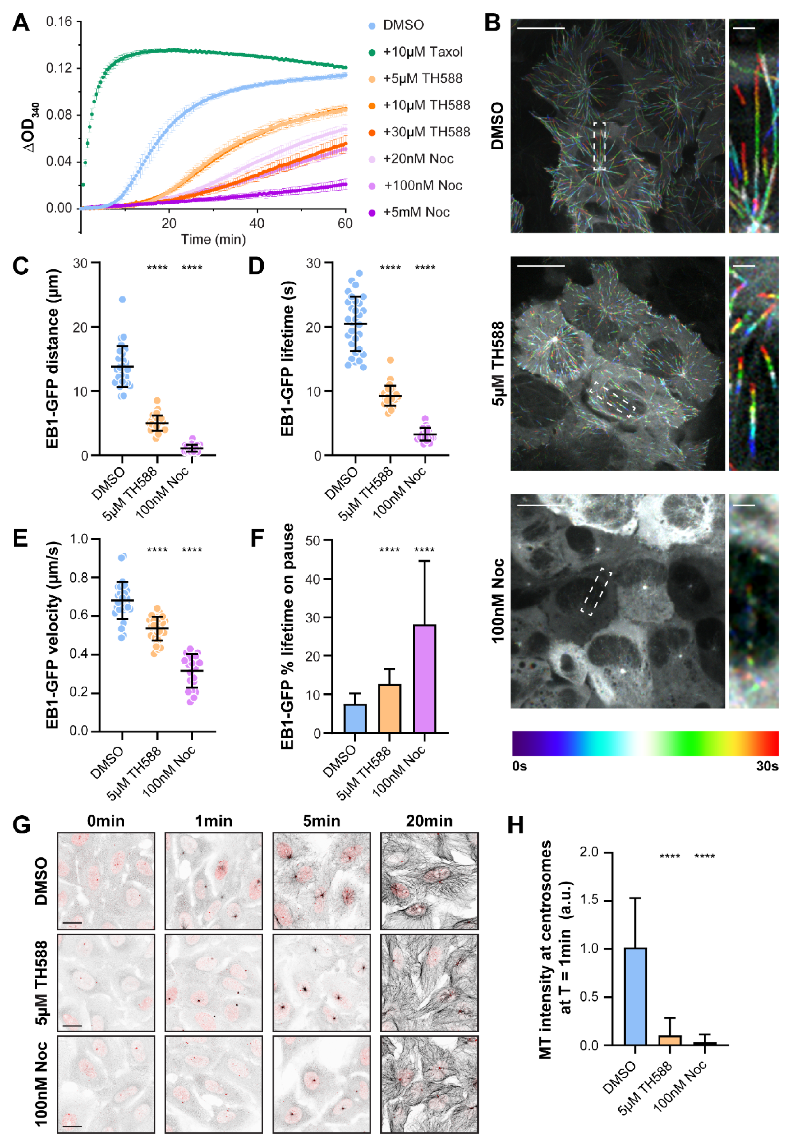 Cancers 13 05995 g001