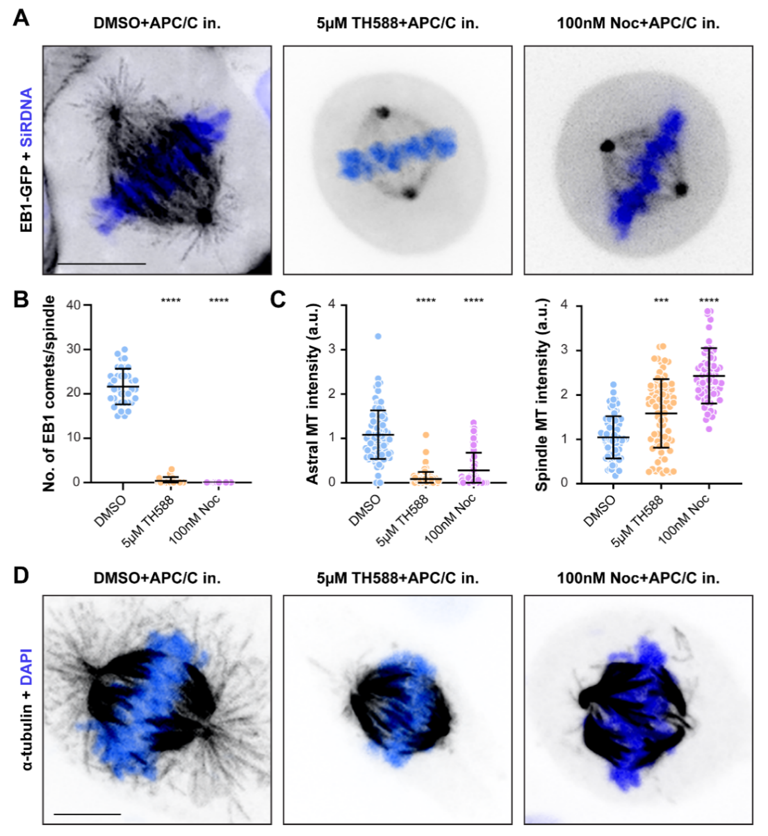 Cancers 13 05995 g003