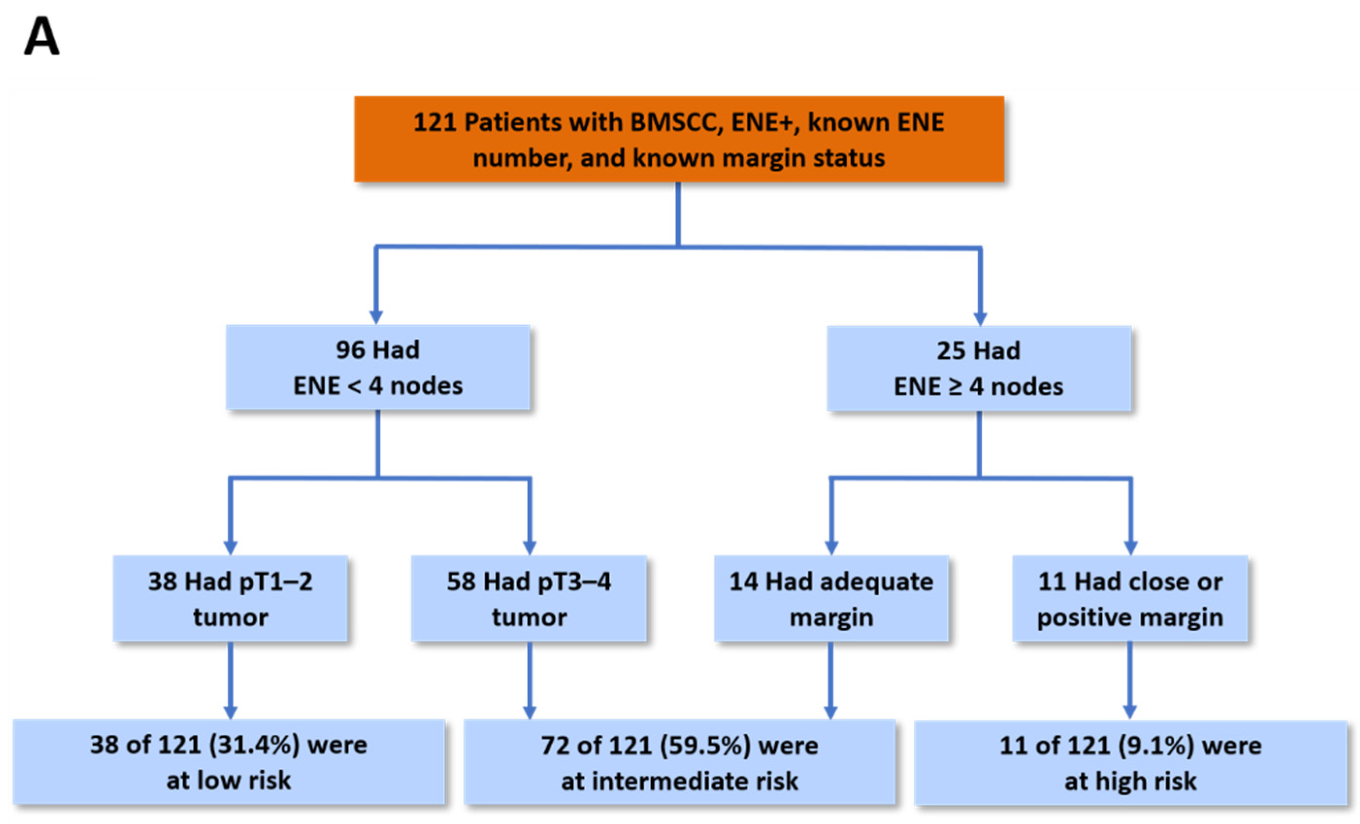 Cancers 13 05997 g003a