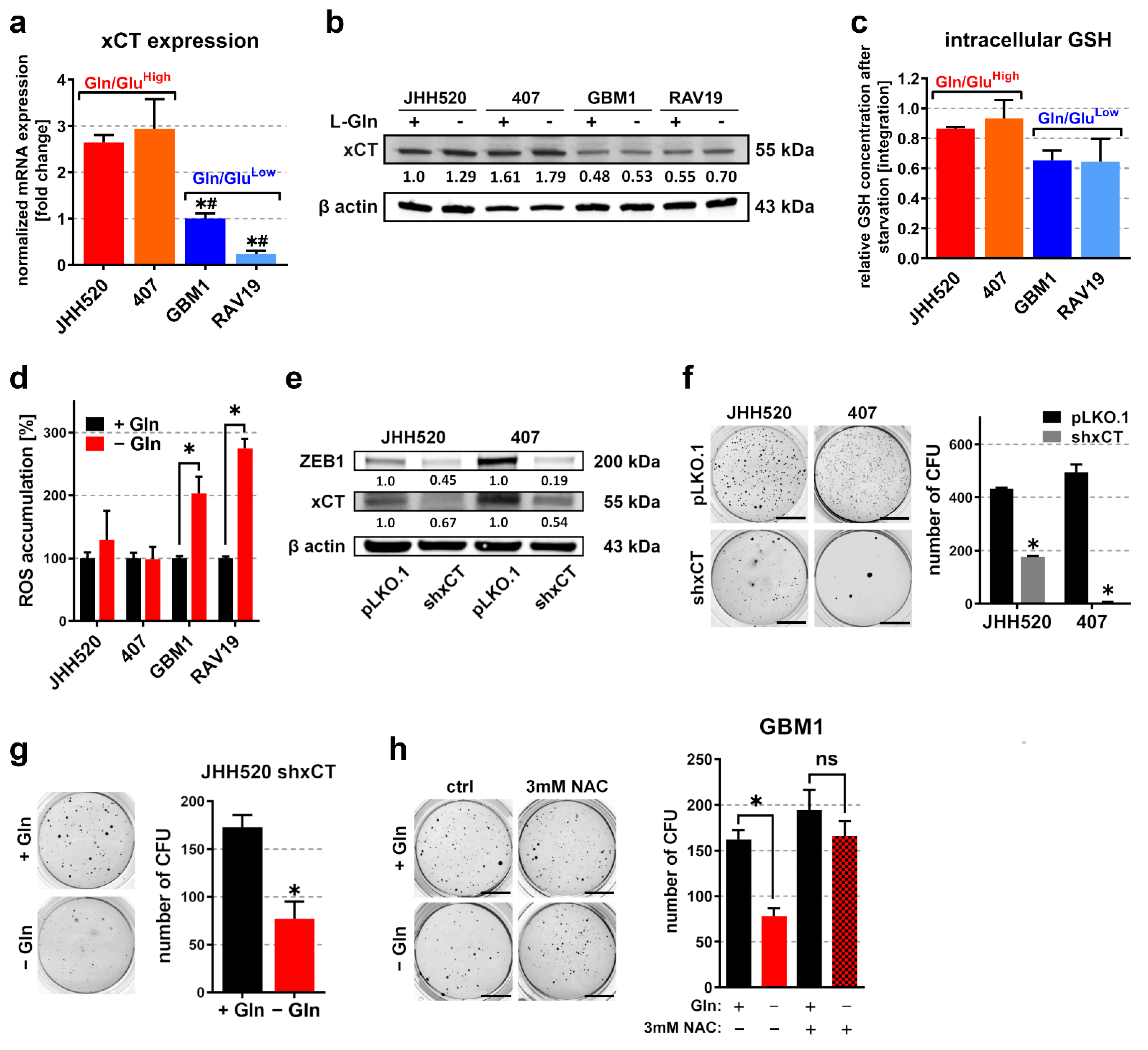 Cancers 13 06001 g003
