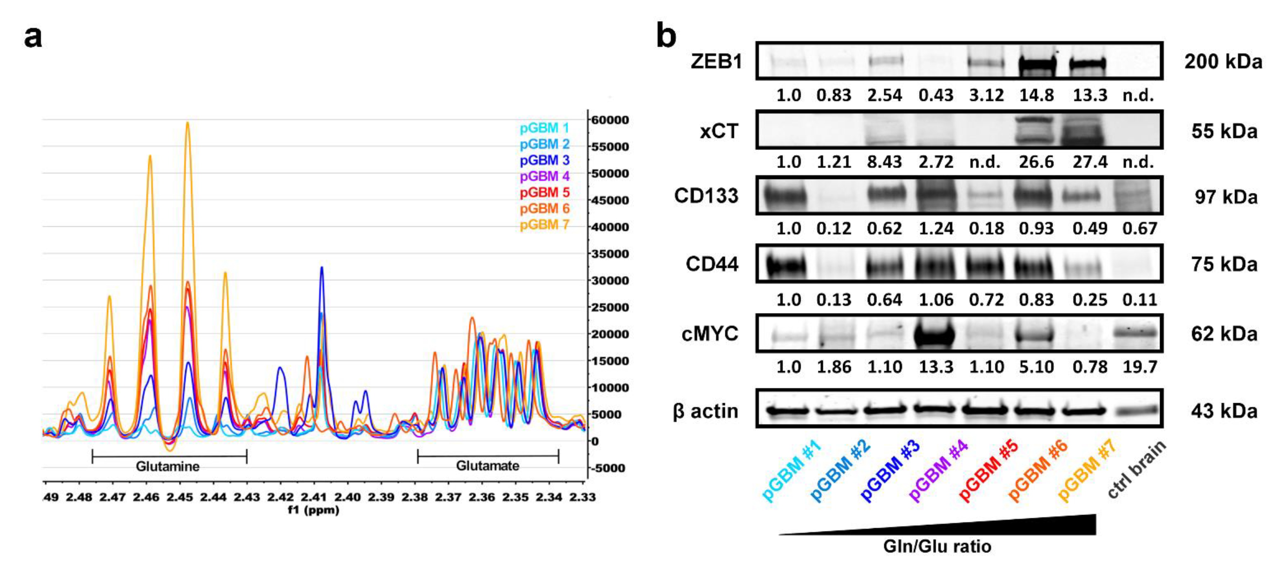 Cancers 13 06001 g005
