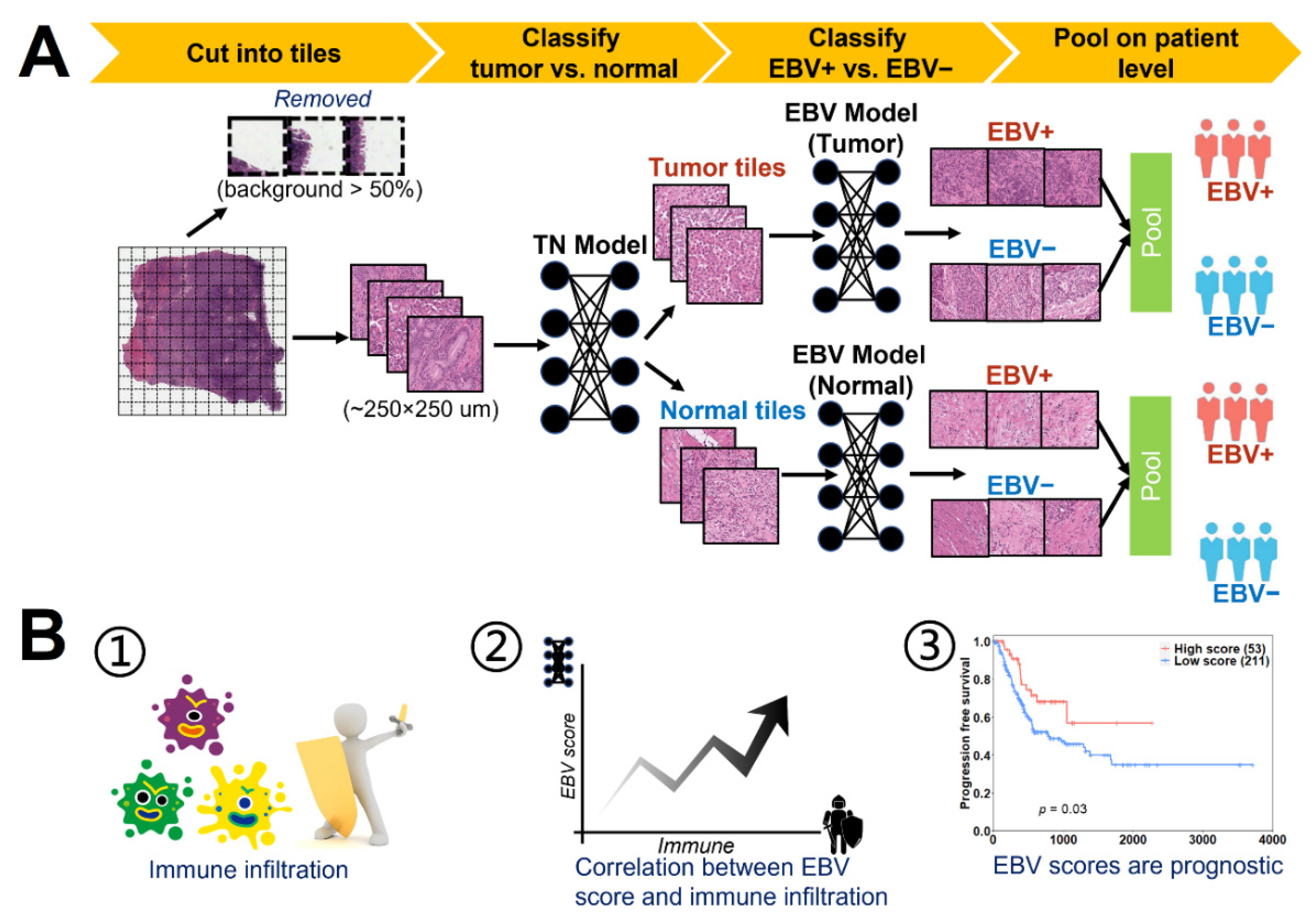 EBV Data Portal