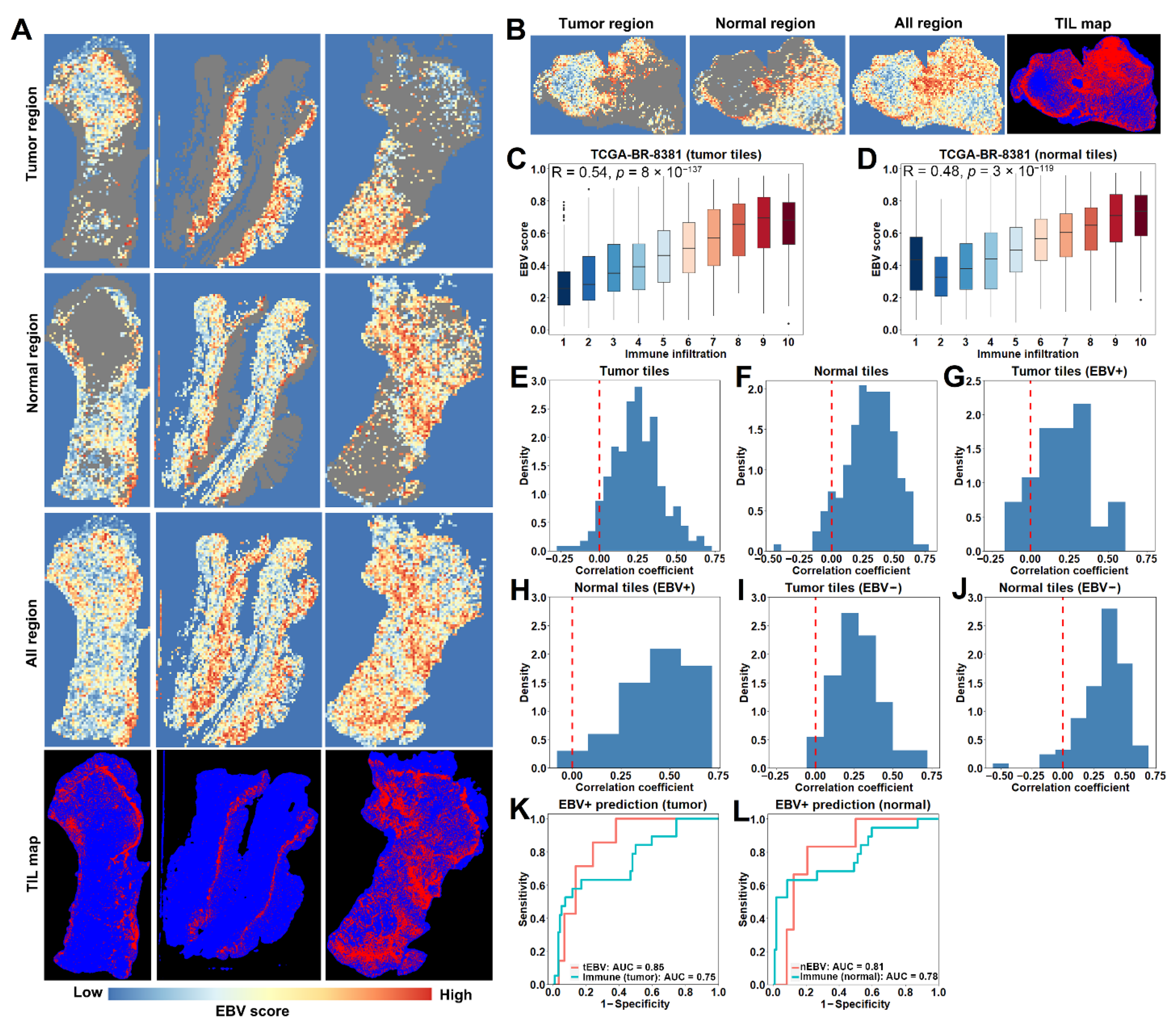 Cancers 13 06002 g005 550