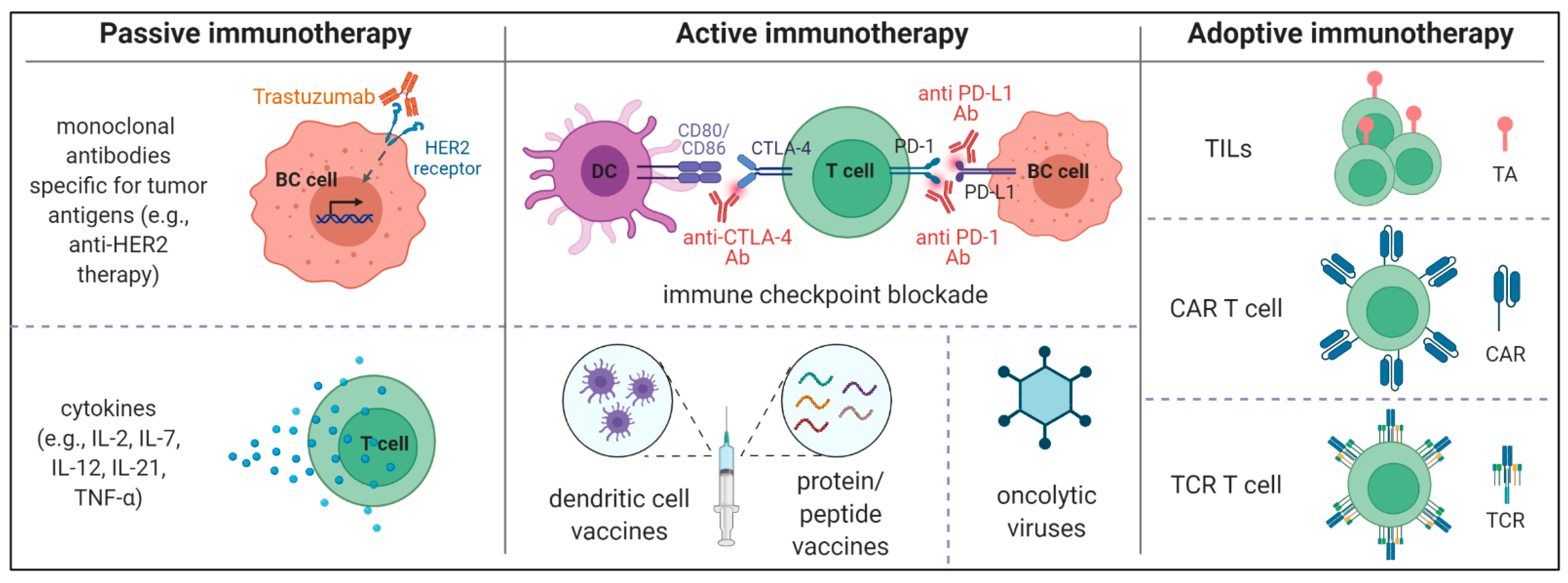 Cancers 13 06012 g002 550
