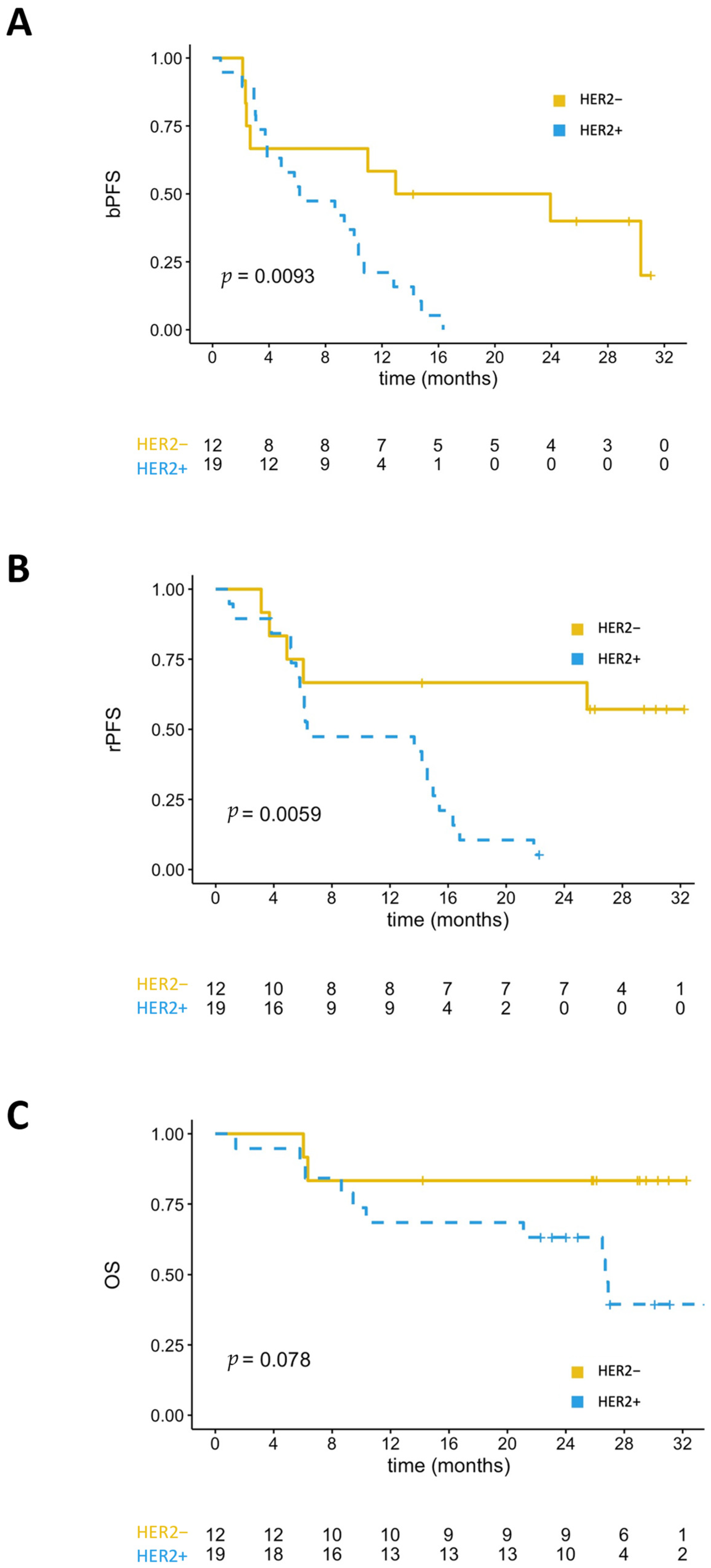 Cancers 13 06014 g003