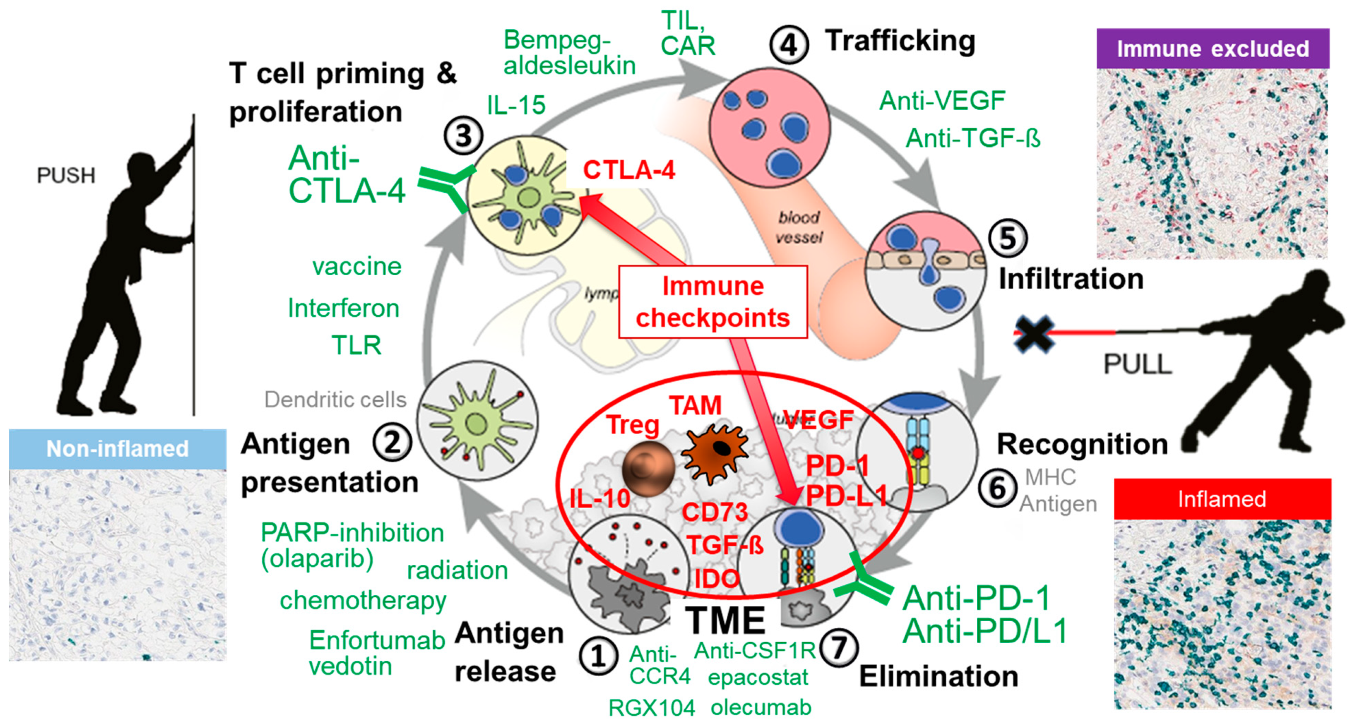 Cancers 13 06016 g001