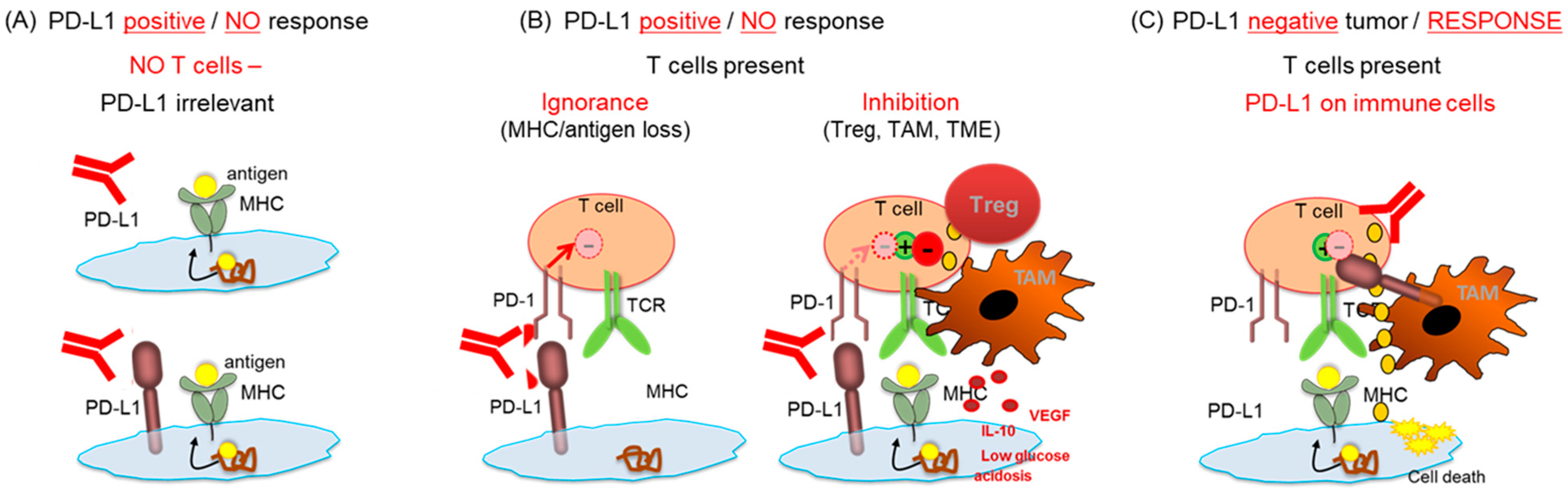 Cancers 13 06016 g002