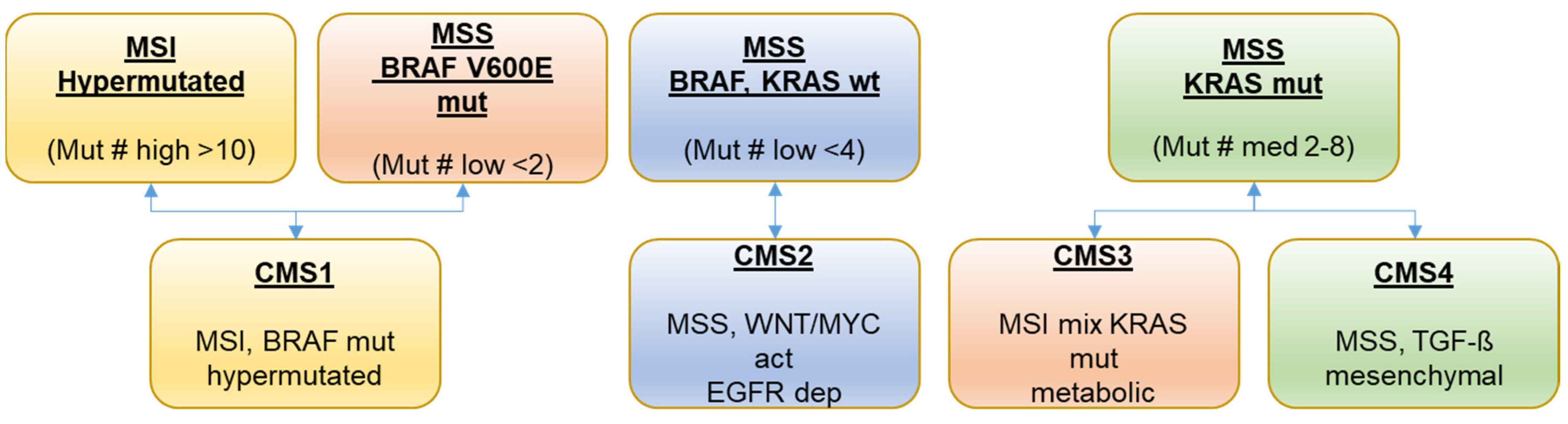 Cancers 13 06018 g003 550