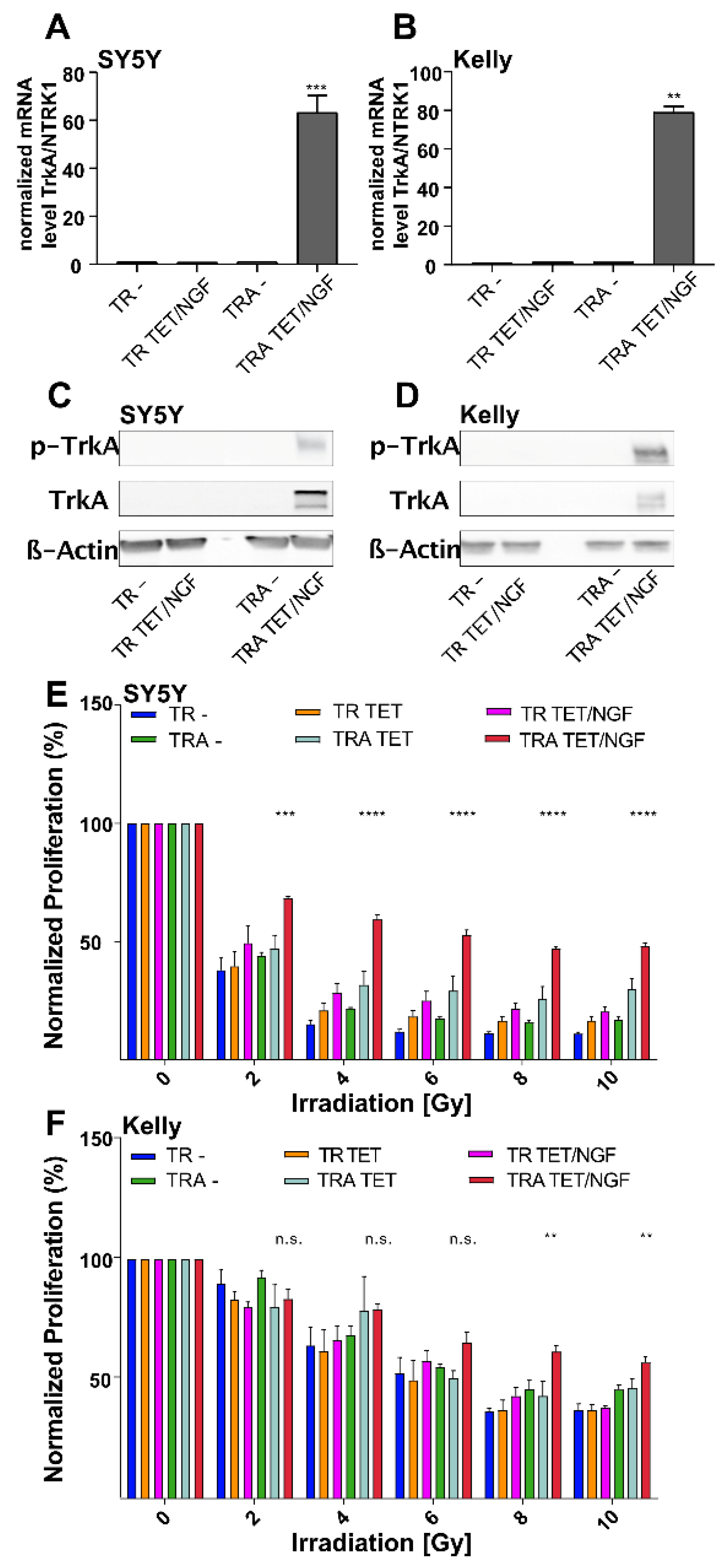 Cancers 13 06023 g001