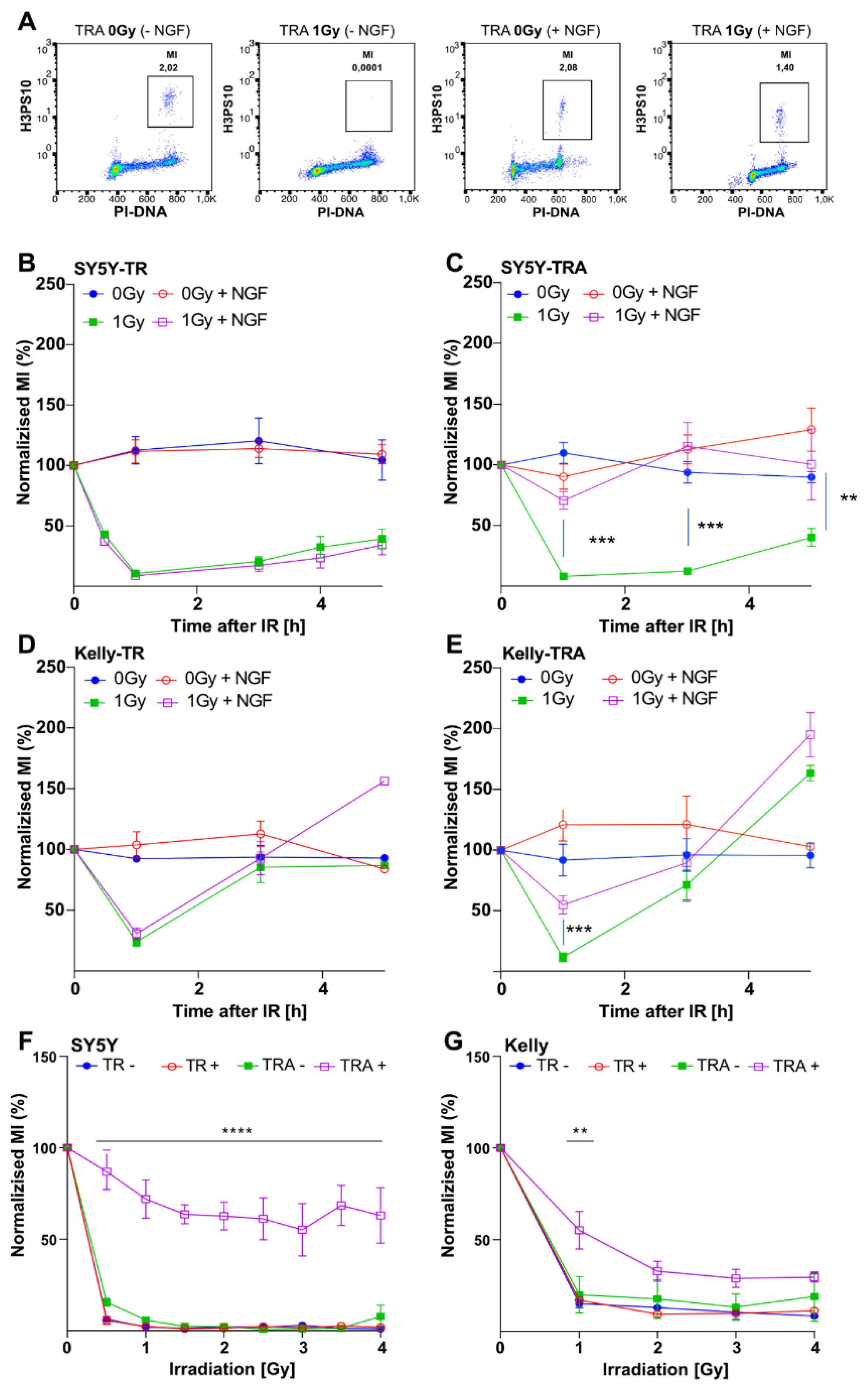 Cancers 13 06023 g002