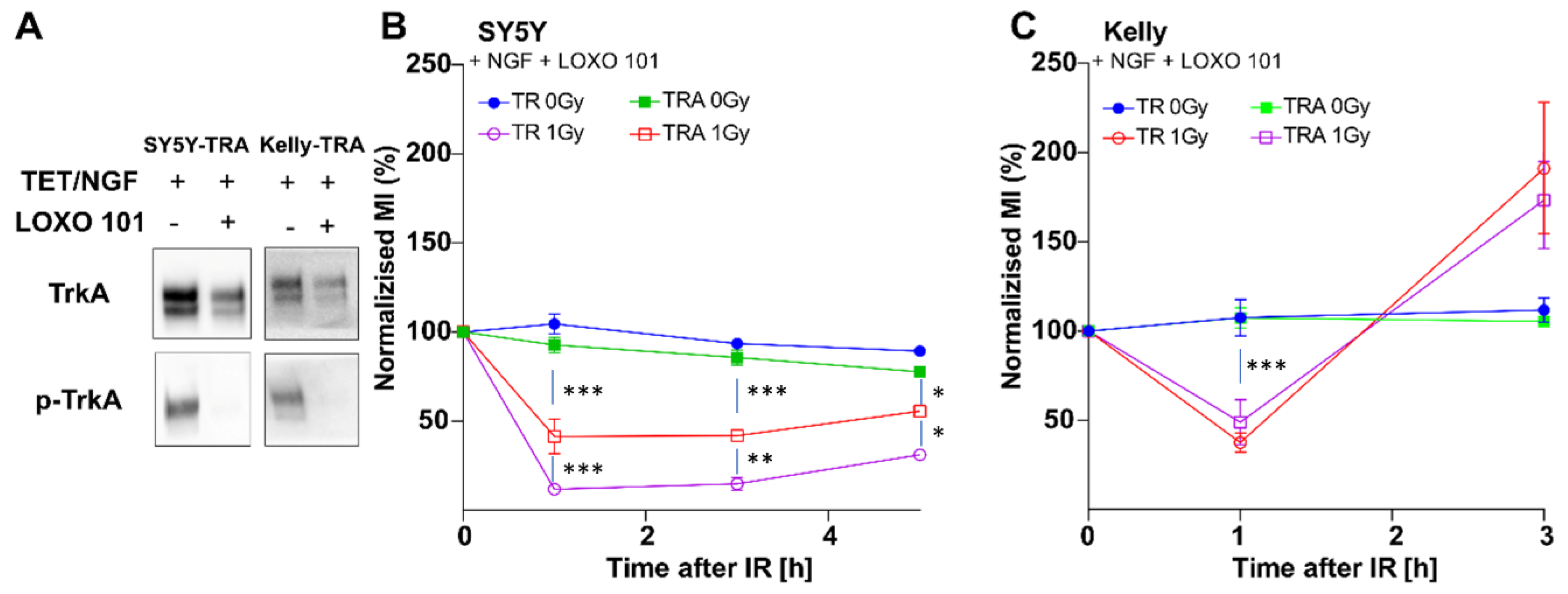 Cancers 13 06023 g003
