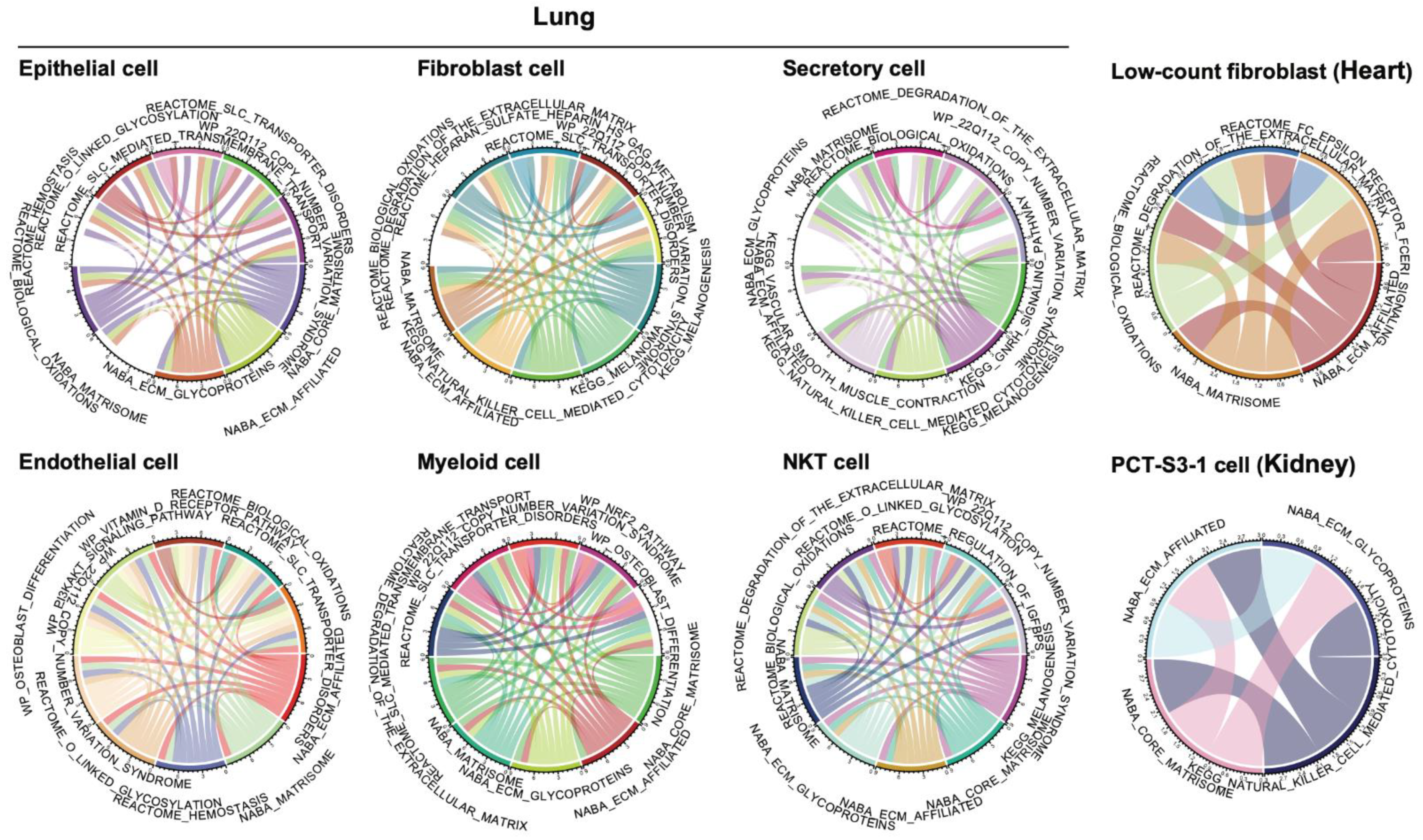 Cancers 13 06024 g003 550