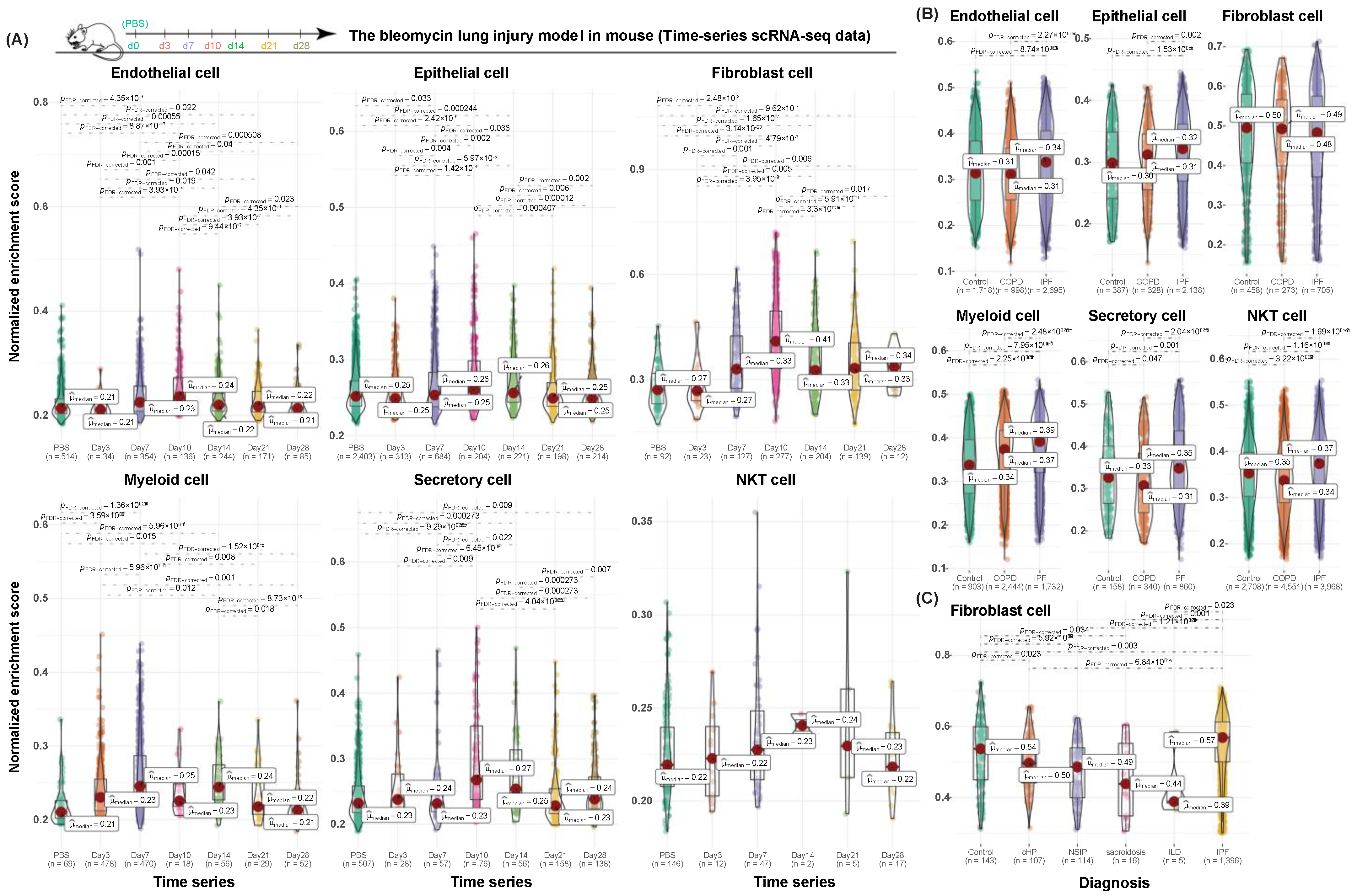 Cancers 13 06024 g004 550