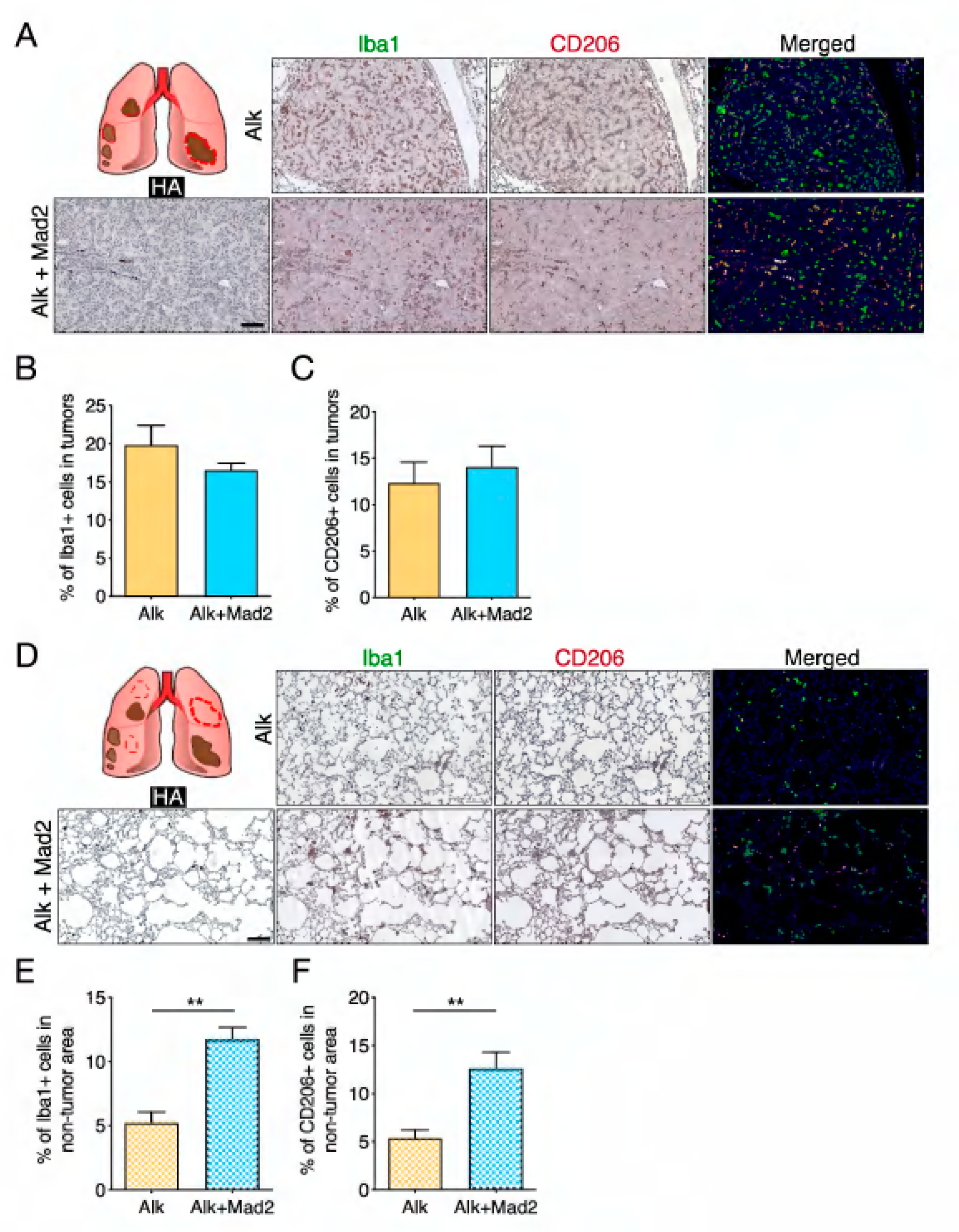 Cancers 13 06027 g002